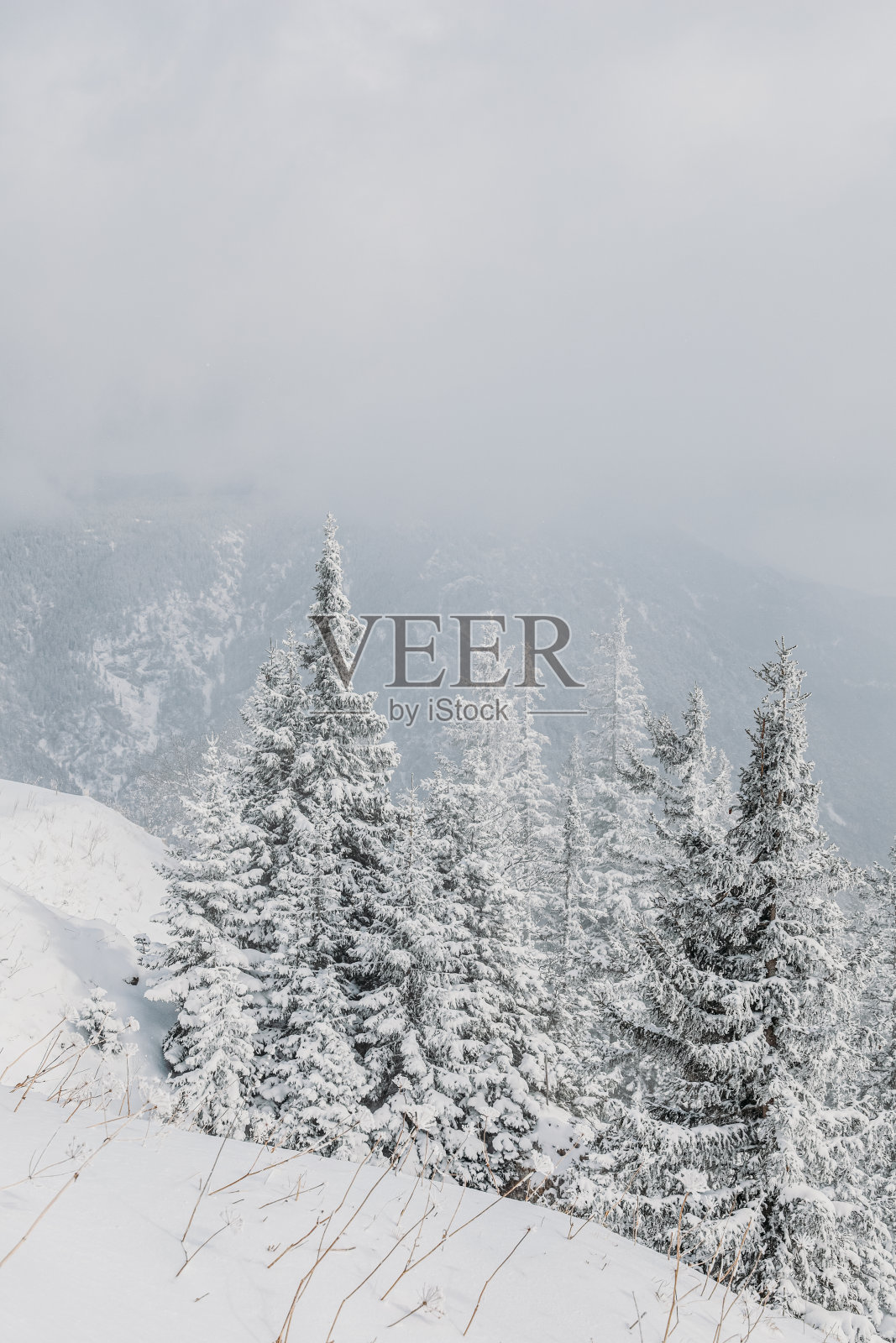 雪景公路之旅奥地利乡村照片摄影图片