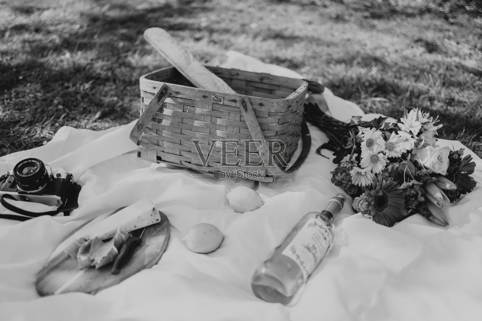 在公园野餐照片摄影图片