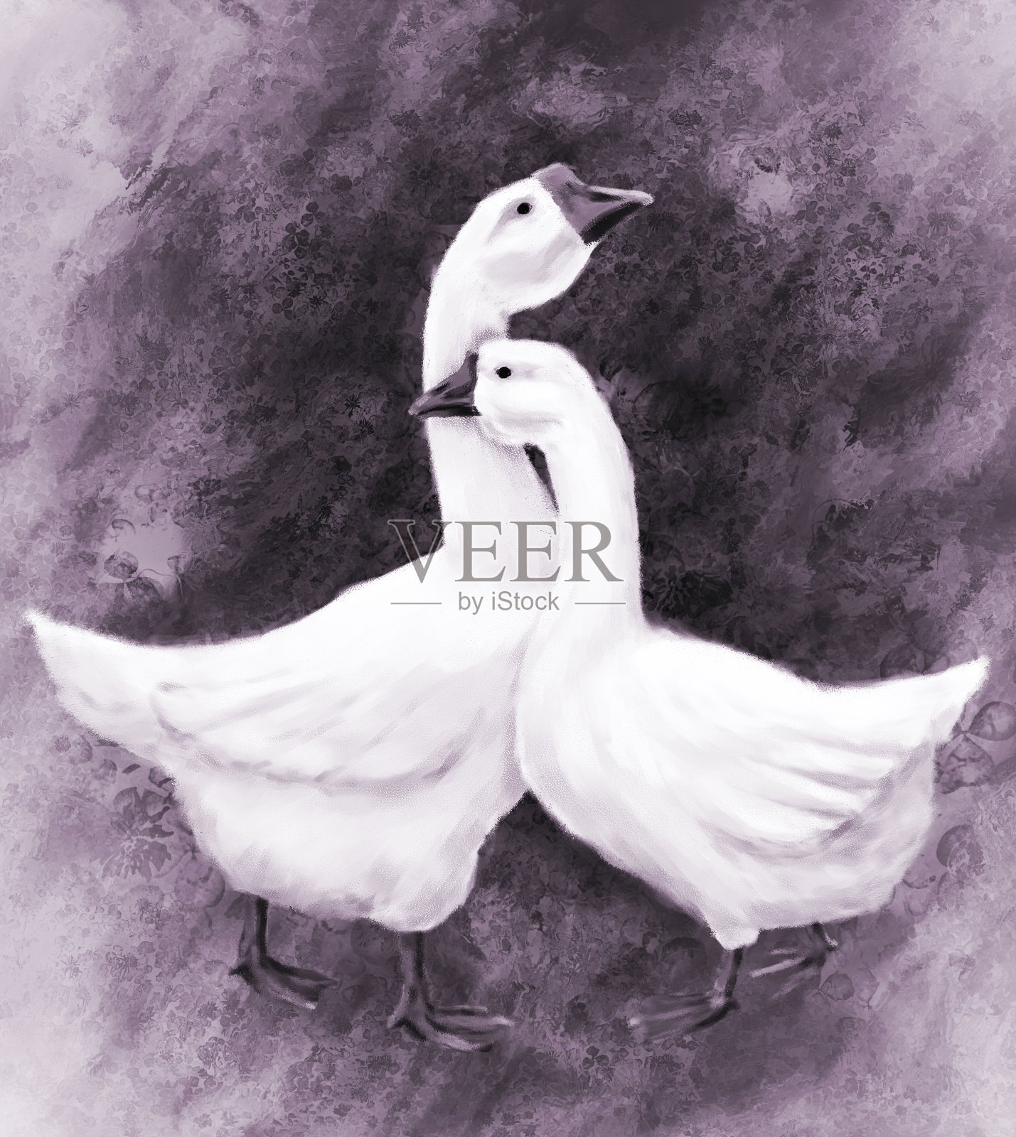 一对白鹅的生动插图插画图片素材