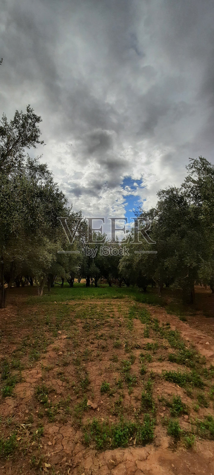 《宁静号揭幕:大自然怀抱中的晴天》照片摄影图片