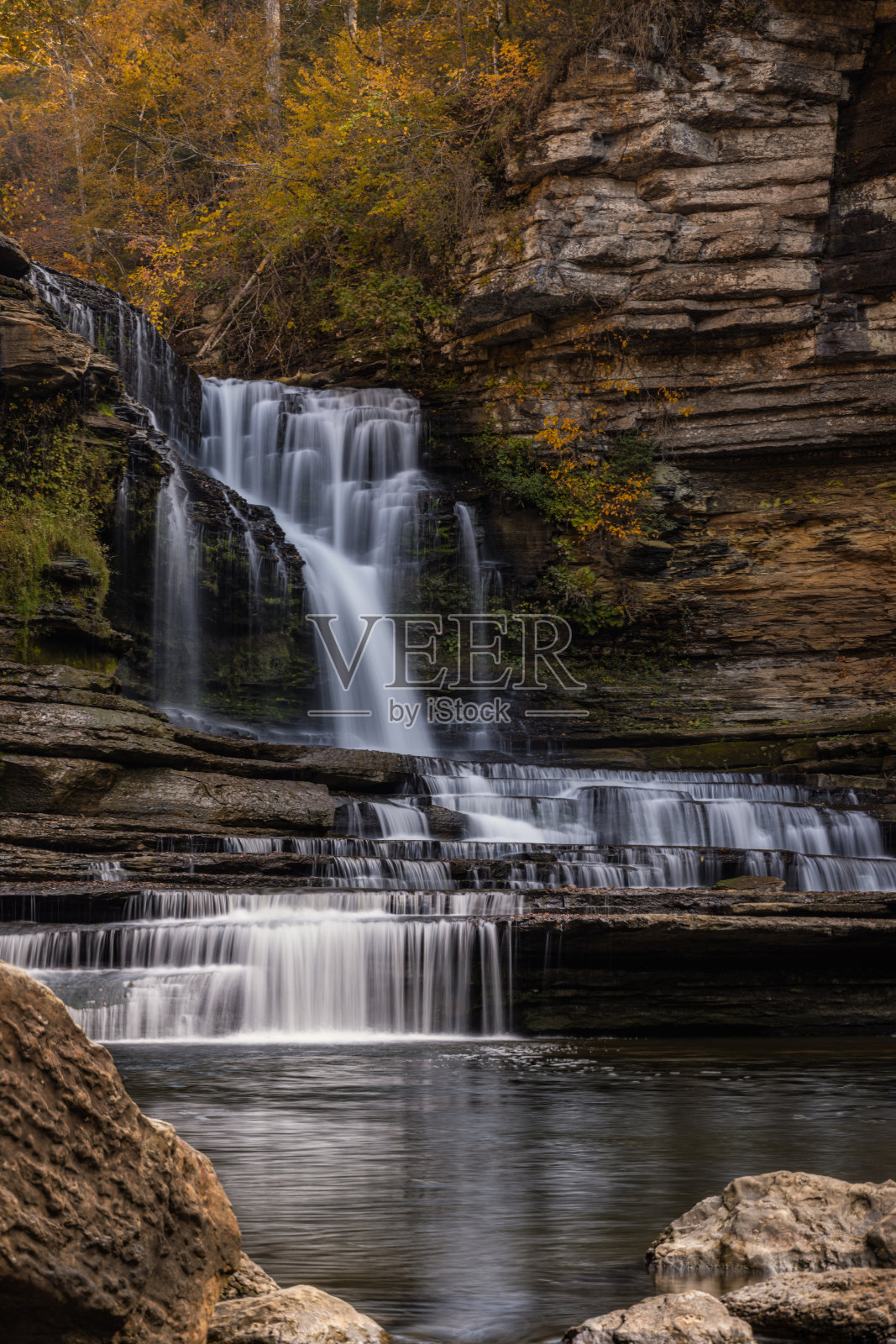 康明斯在秋天倒下了照片摄影图片