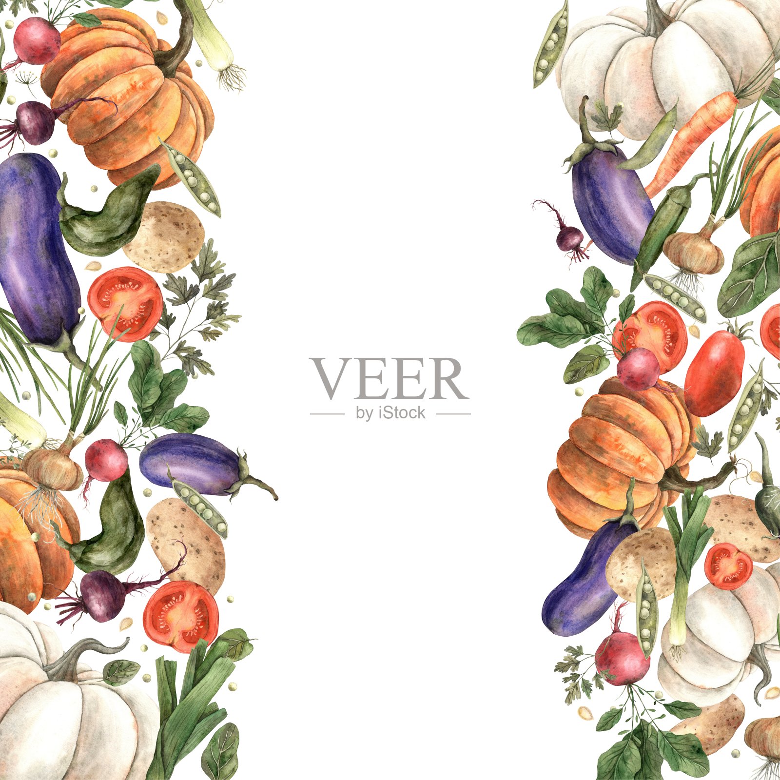 水彩框架由一组蔬菜组成:南瓜、茄子、洋葱、甜菜、辣椒、萝卜、莳萝、胡萝卜、豌豆、土豆、欧芹、菠菜、水彩。模板、大构图设计、海报、卡片、布艺插画图片素材