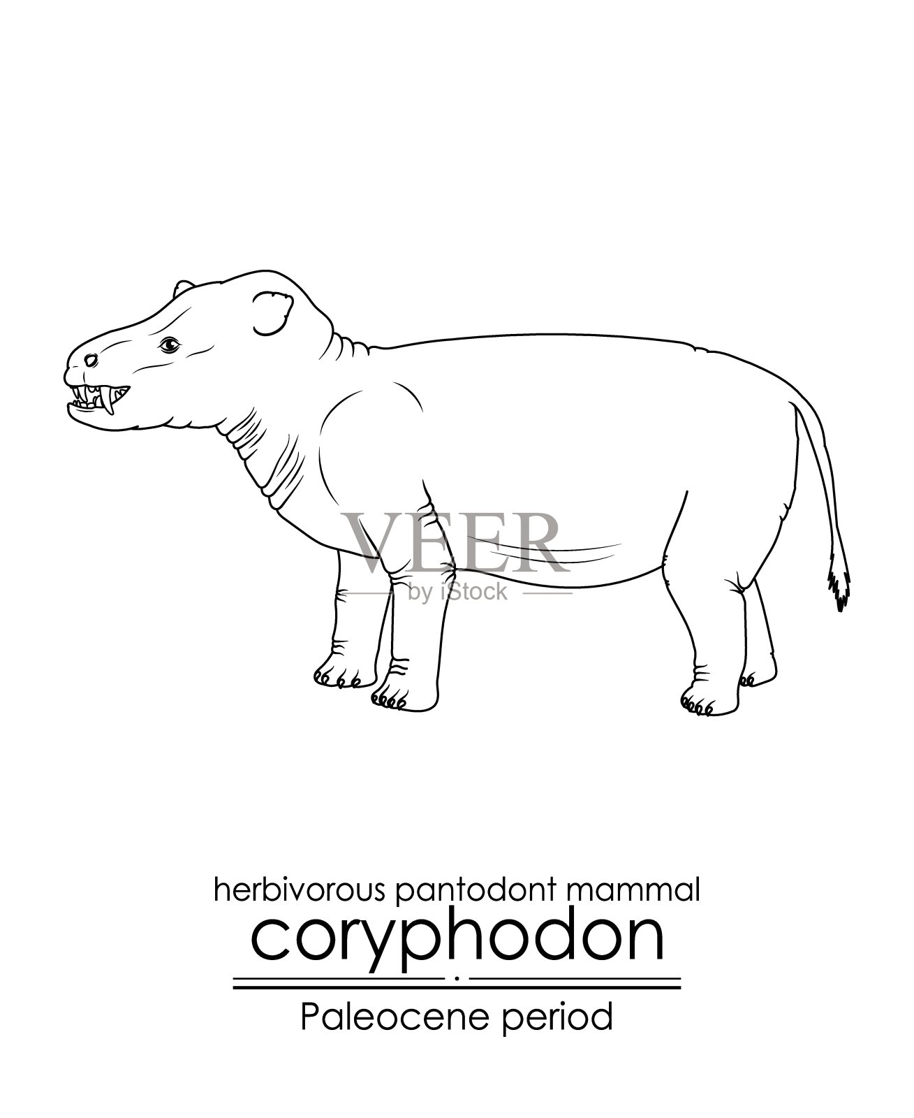 史前草食性腹齿哺乳动物插画图片素材
