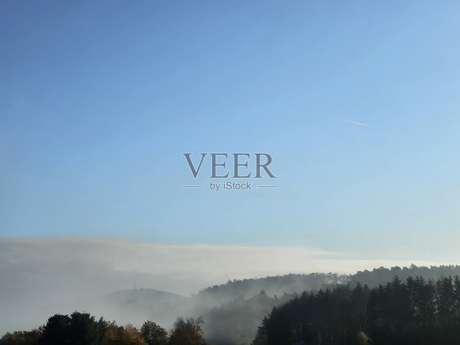 纯粹奇妙的自然。无论是雾，太阳还是森林，它总是看起来很棒照片摄影图片