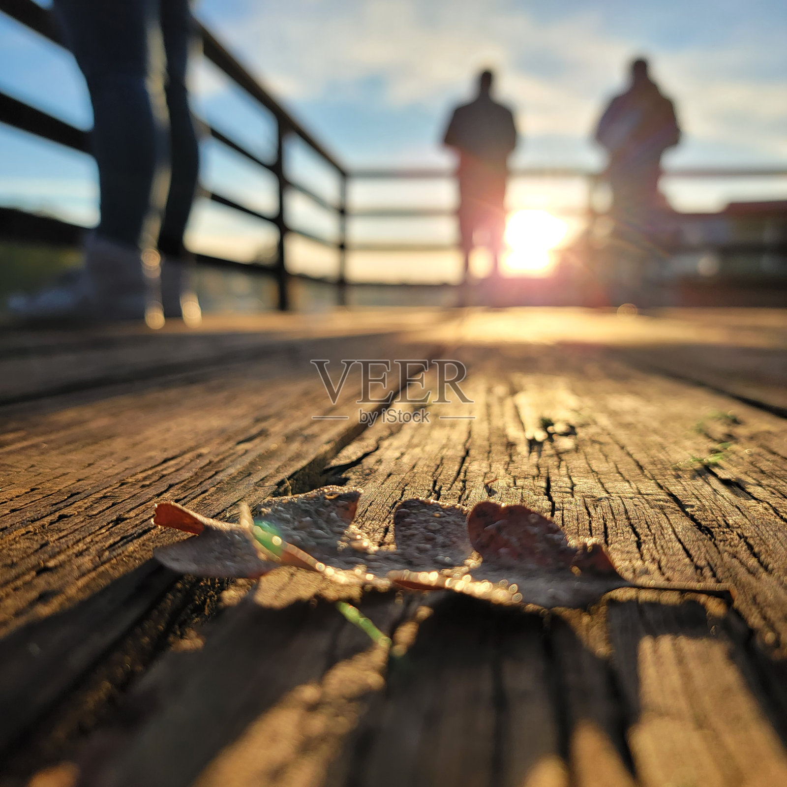 湖的生活照片摄影图片