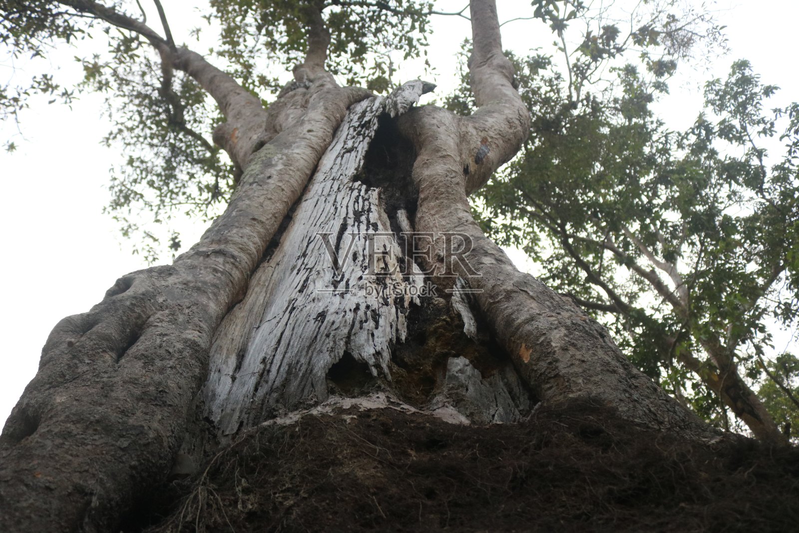 自然景观照片摄影图片