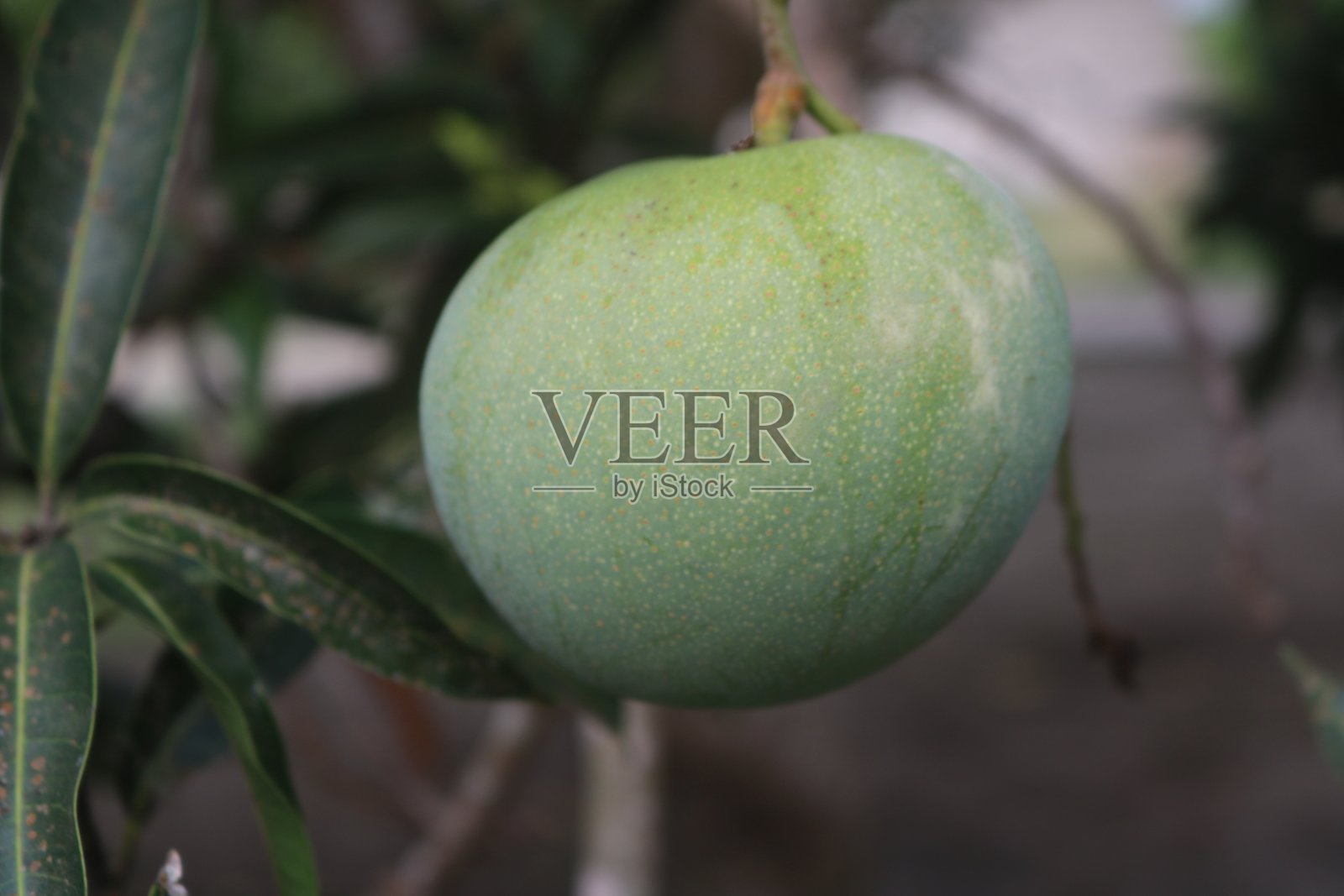 苹果芒果照片摄影图片