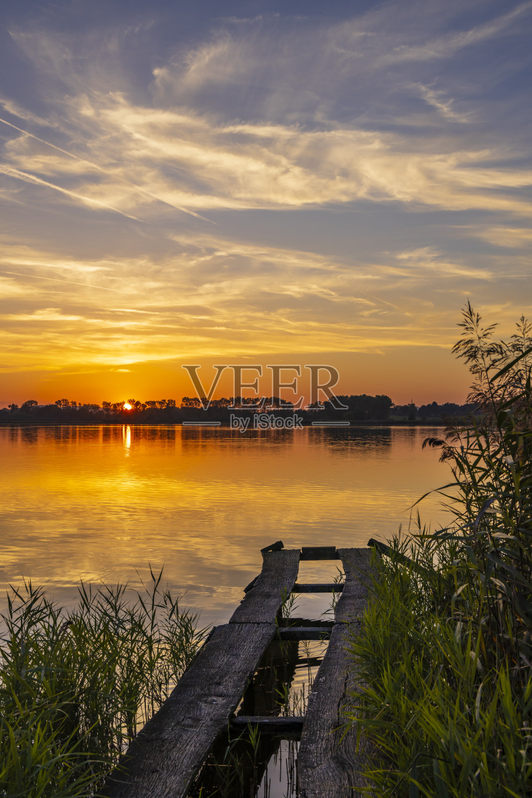 捷克共和国南波西米亚的Rezabinec池塘照片摄影图片