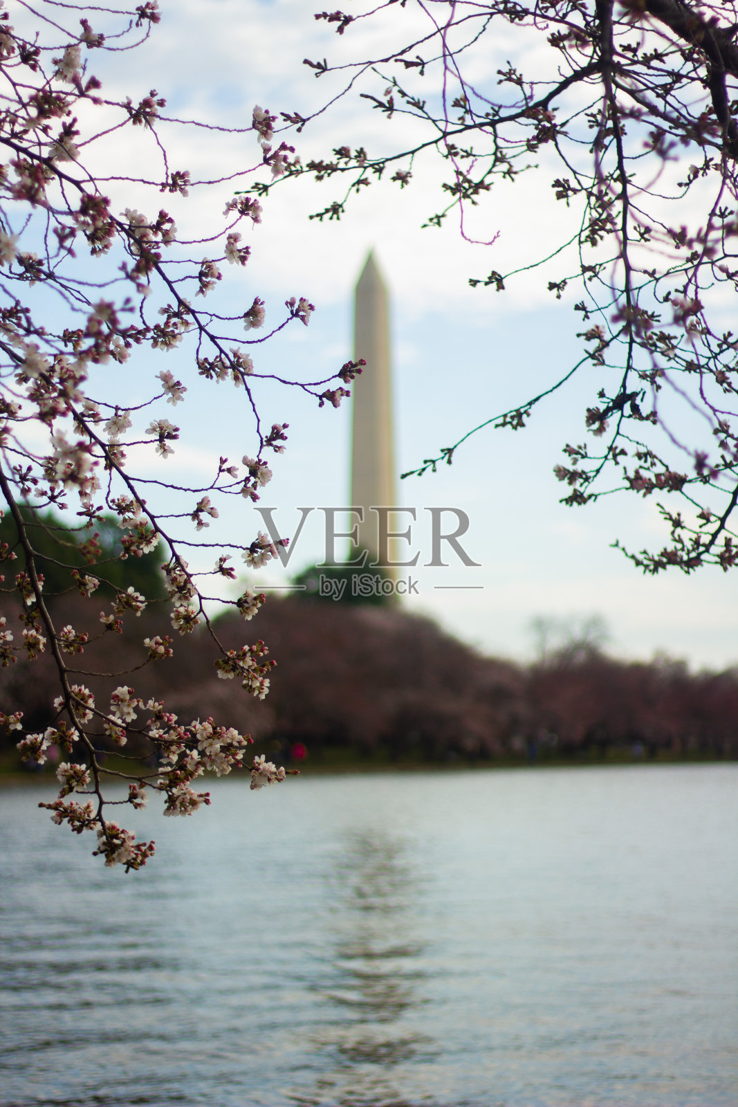 花丛中纪念碑照片摄影图片