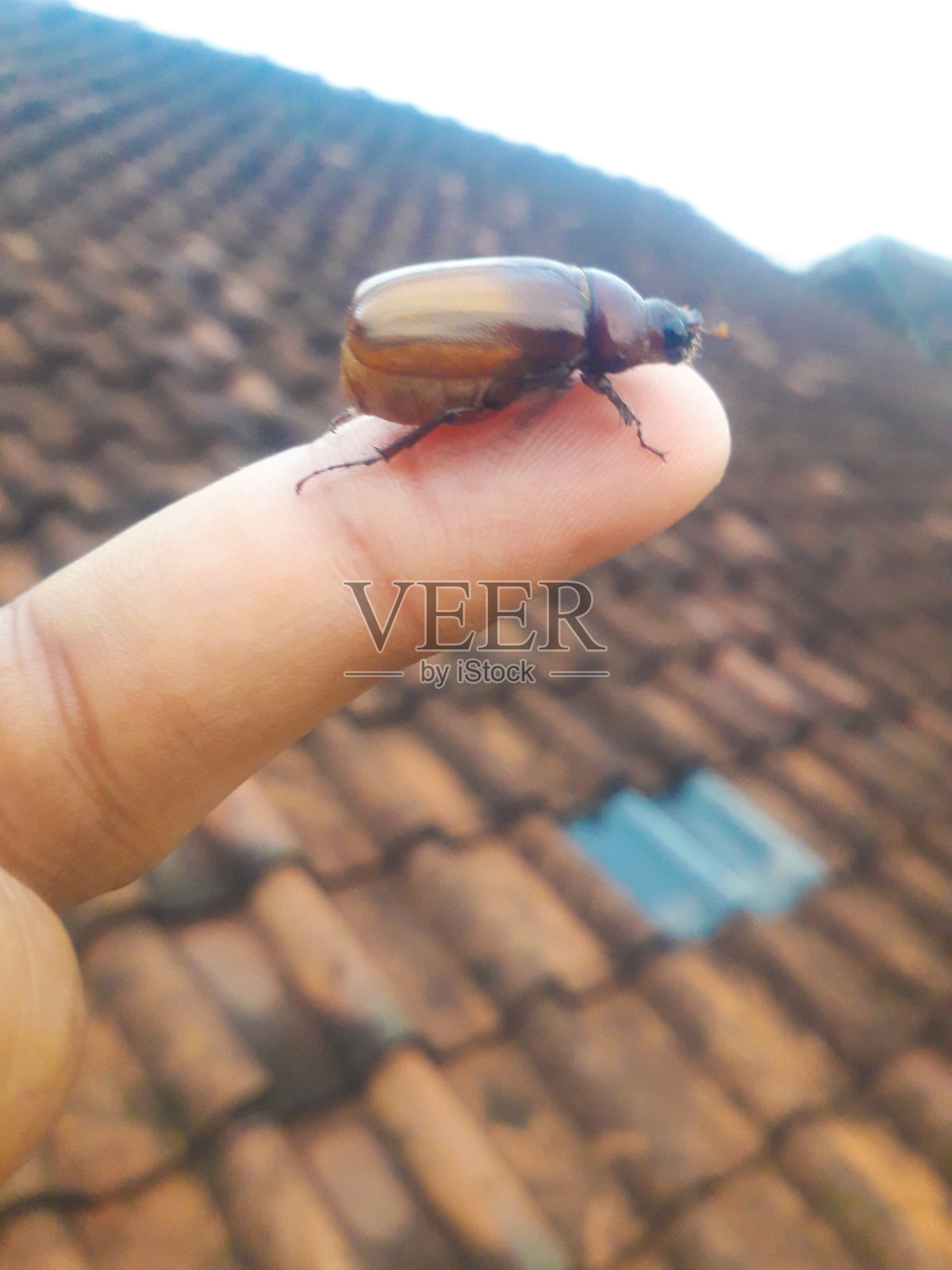 外交准备就绪照片摄影图片