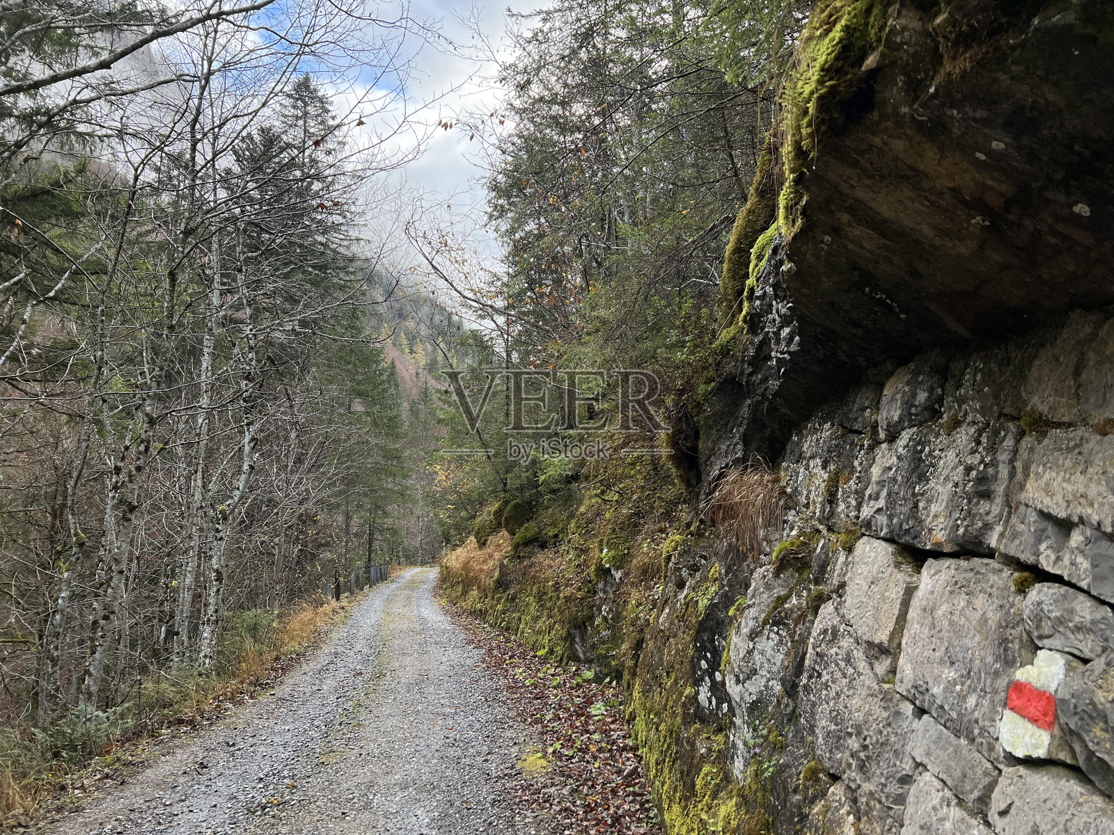 在Taminatal河谷和瑞士阿尔卑斯山脉的高山斜坡上的徒步旅行路线或登山路线，Vättis -瑞士圣加仑州(瑞士)照片摄影图片