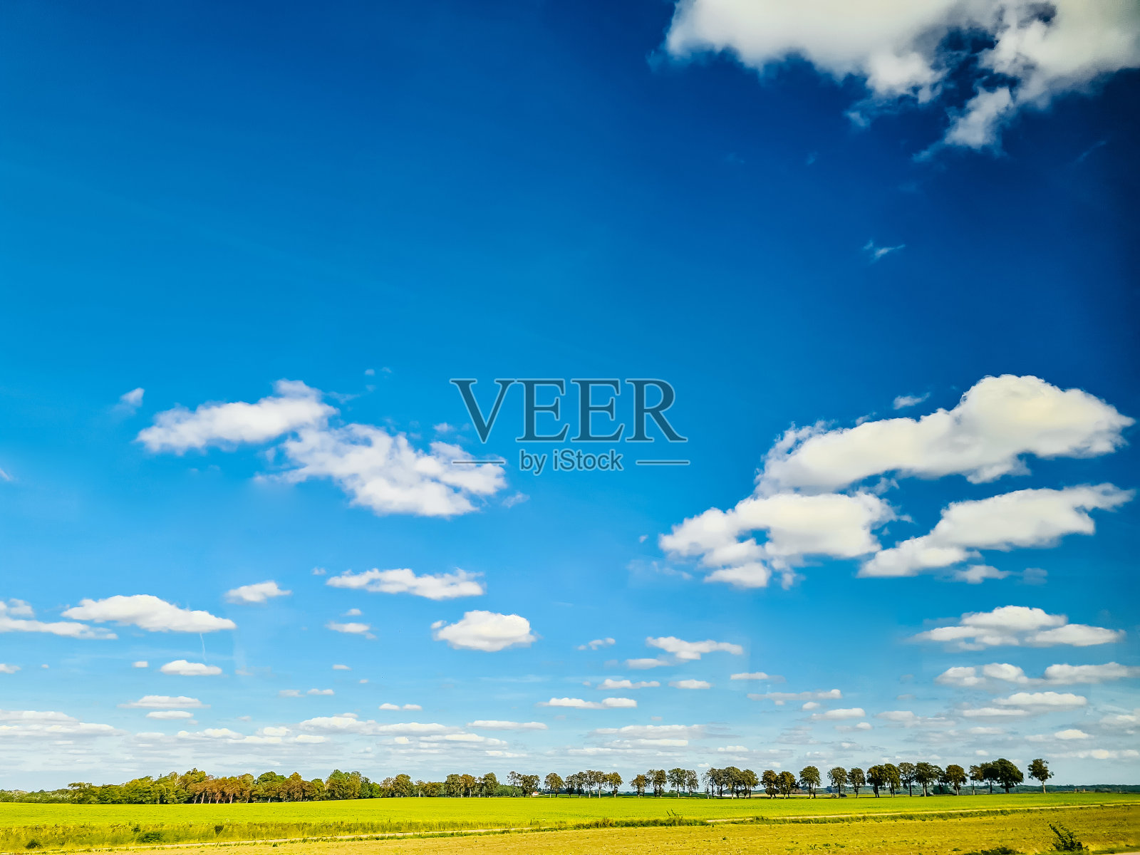 瑞典的绿色田野和蓝天照片摄影图片