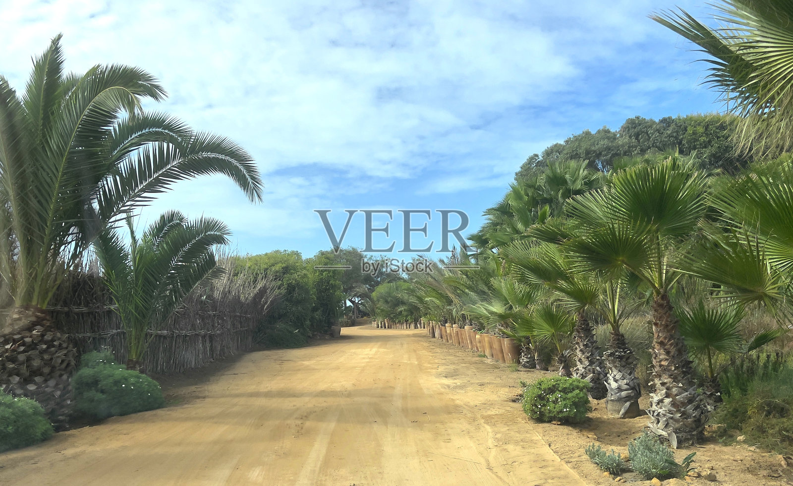 Oualidia⁩、⁨摩洛哥照片摄影图片