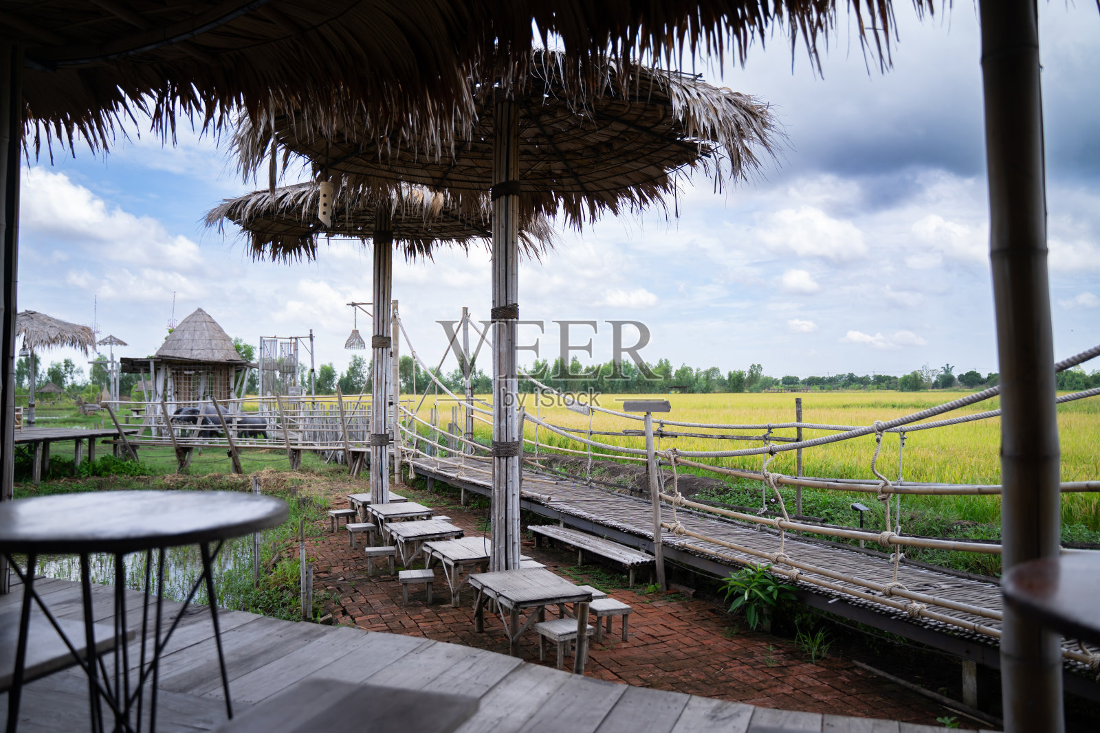 风景的木桥在绿色的稻田明亮的天空背景照片摄影图片