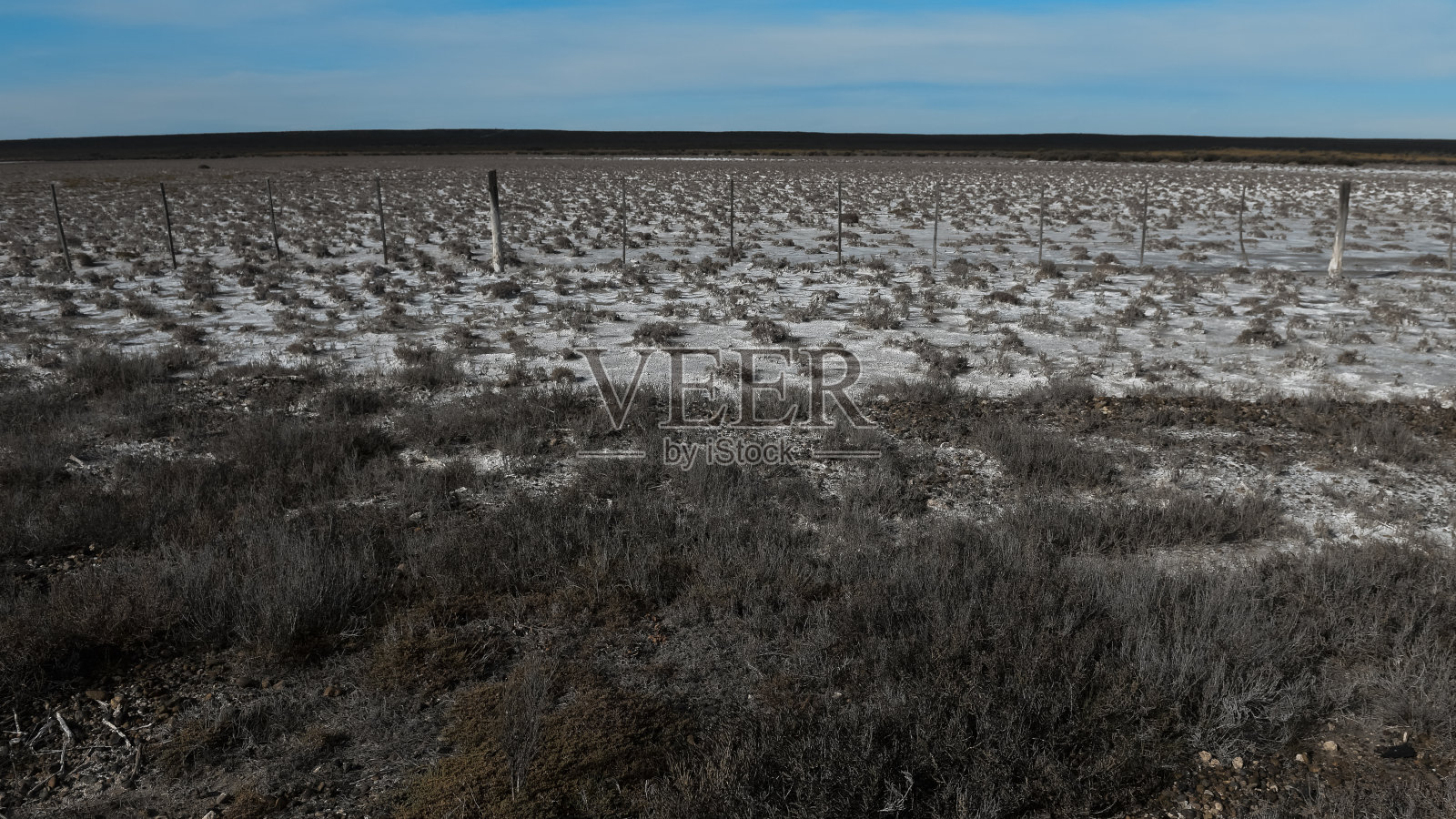 半沙漠环境中的咸土，阿根廷巴塔哥尼亚省拉潘帕省。照片摄影图片