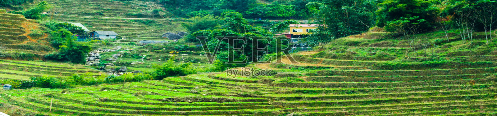 越南北部萨帕的稻田梯田全景照片摄影图片