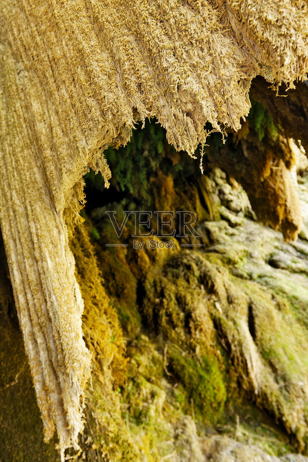 克鲁巴河上的凝灰岩屏障和干涸的瀑布照片摄影图片