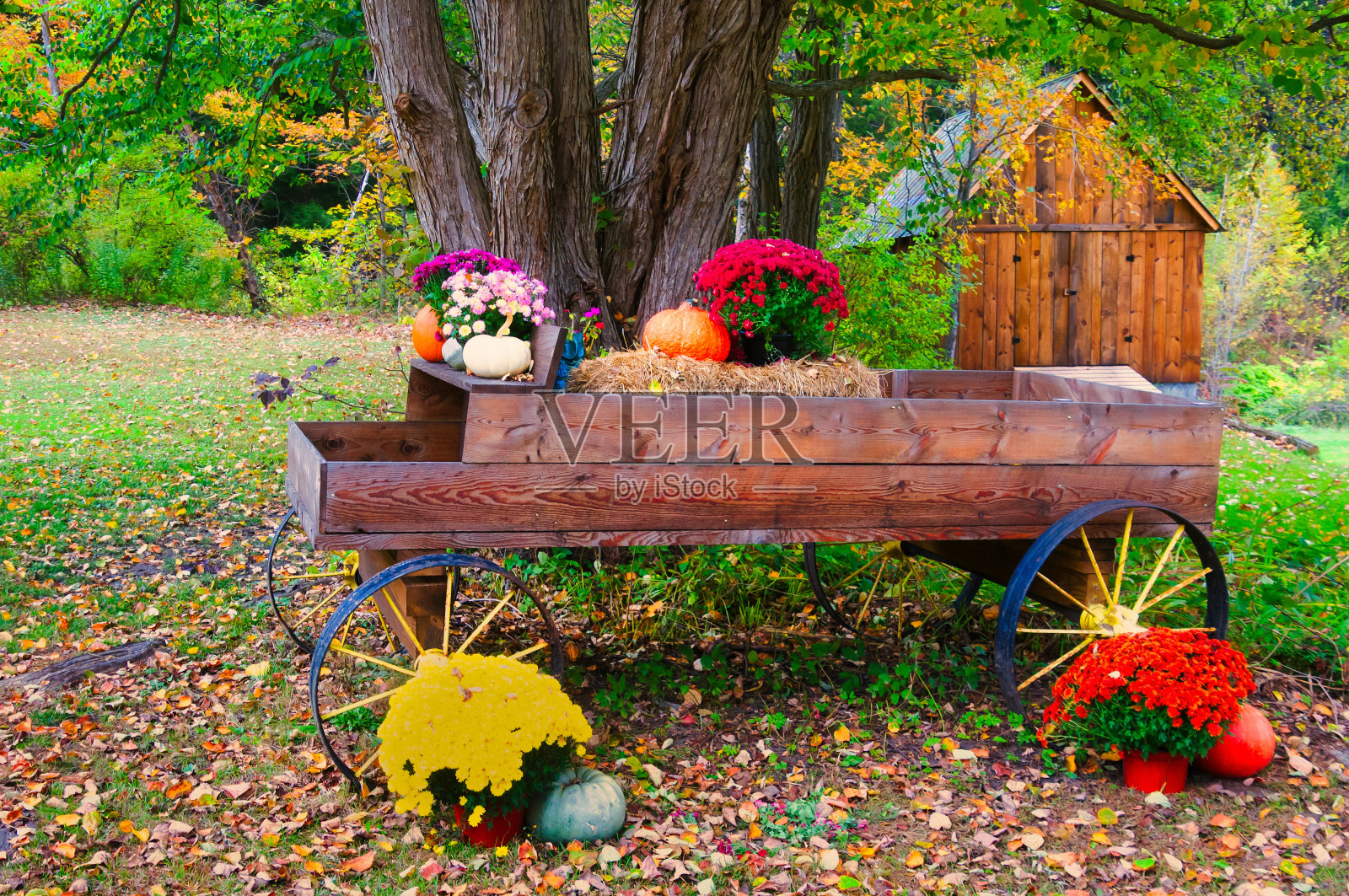 佛蒙特州秋季展览照片摄影图片