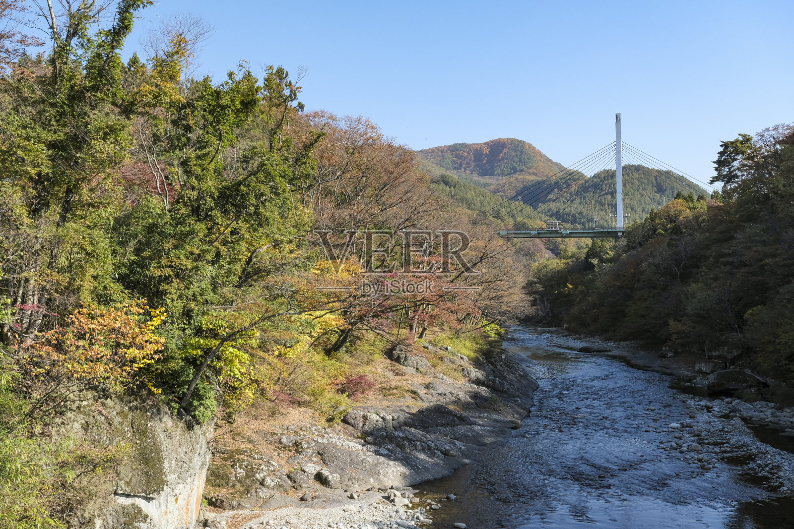 秋叶和Tone河照片摄影图片