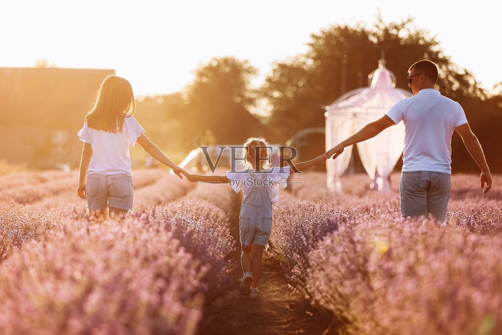 家庭日快乐。年轻的父亲、母亲和女儿在薰衣草地里互相看着对方，玩得很开心。幸福的夫妇带着孩子享受暑假。家人看照片摄影图片