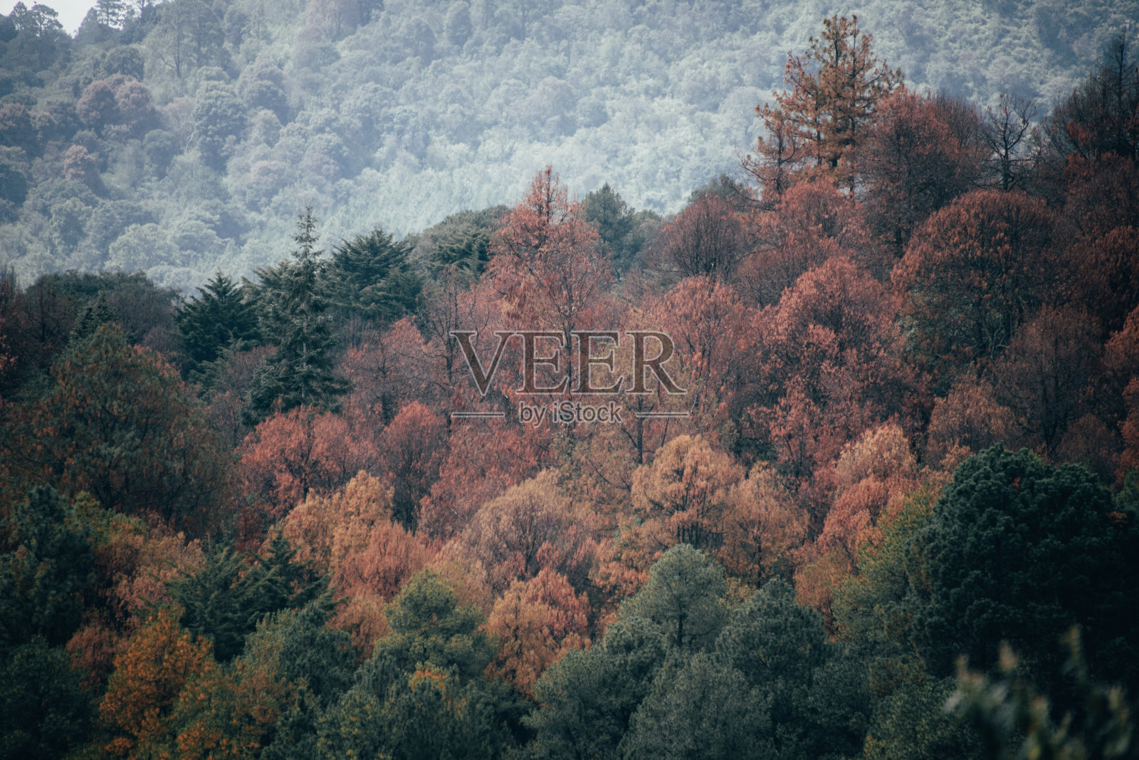 墨西哥中部山脉的风景照片摄影图片