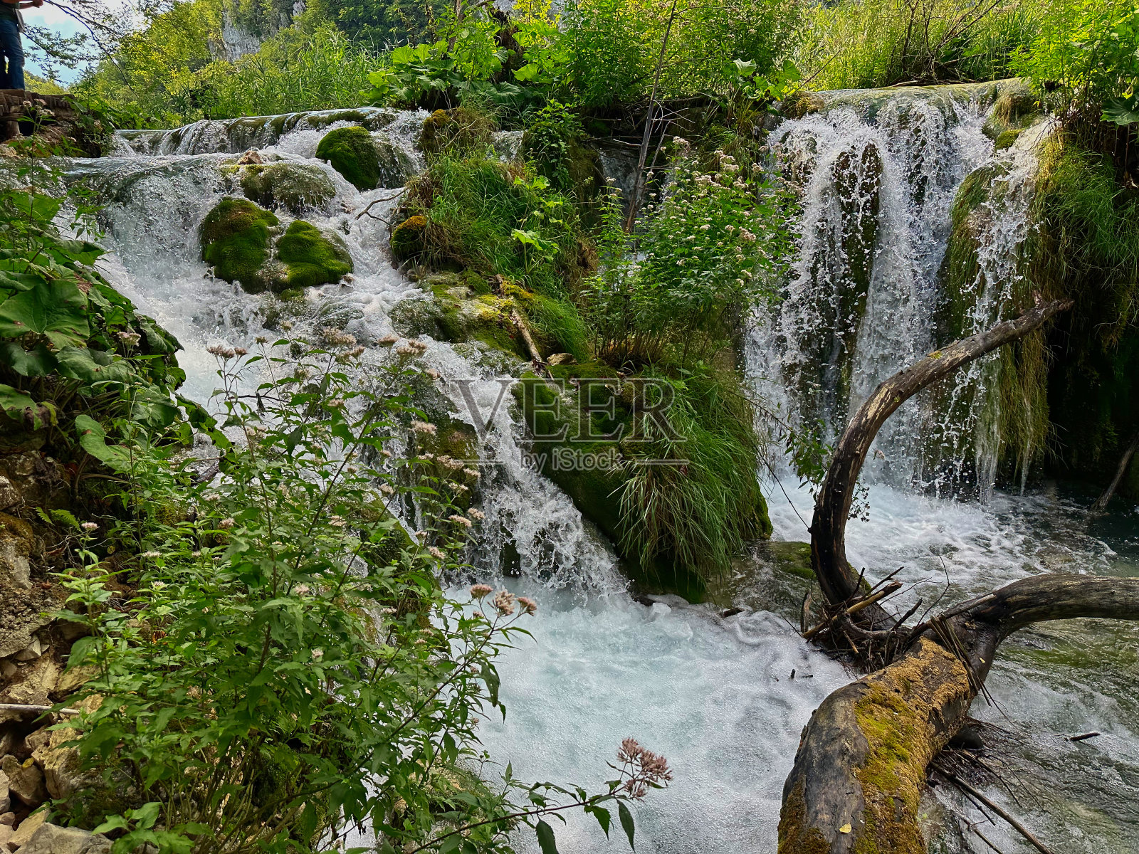 普利特维采湖国家公园的瀑布。克罗地亚照片摄影图片
