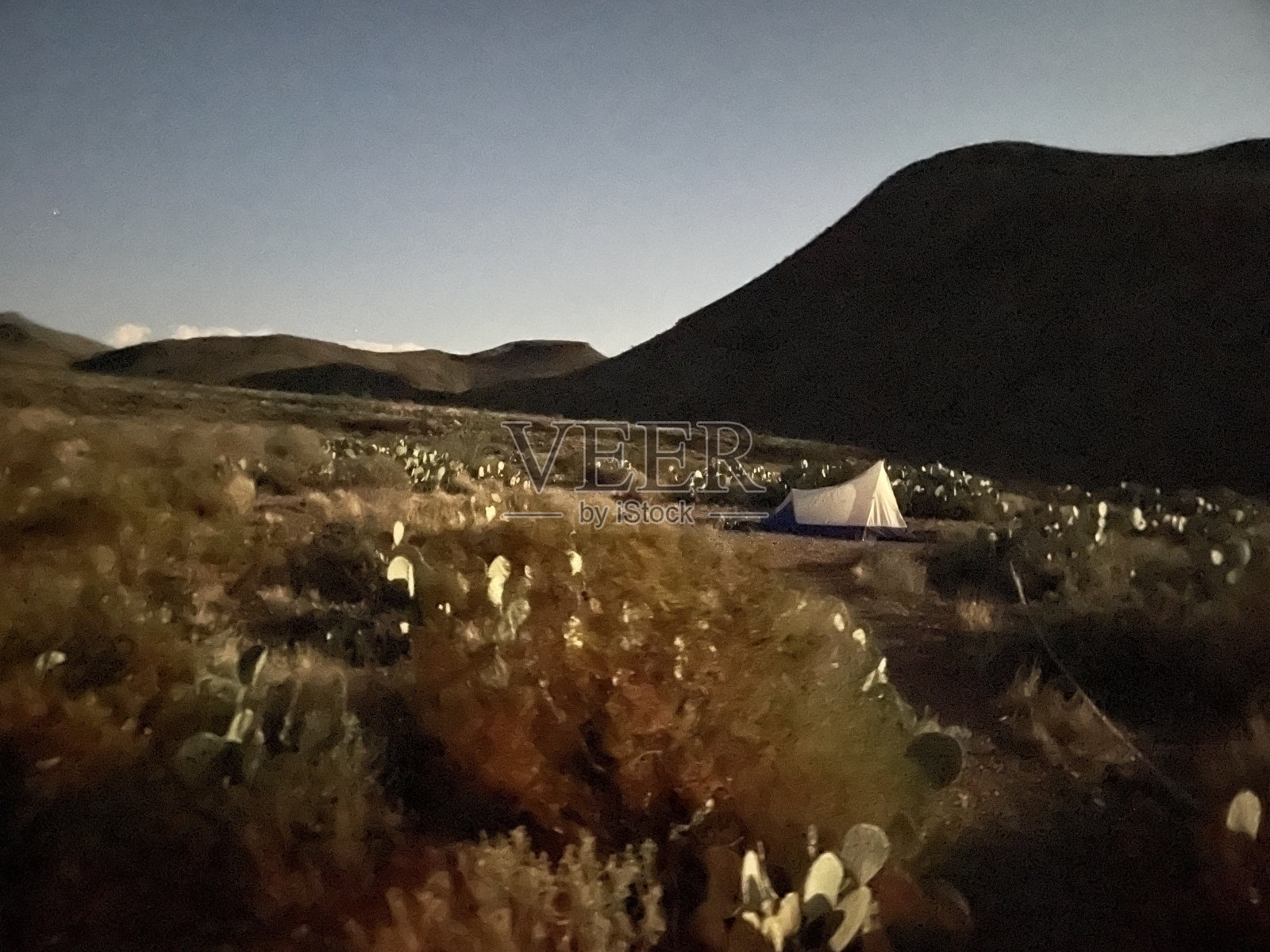 在月光下露营照片摄影图片