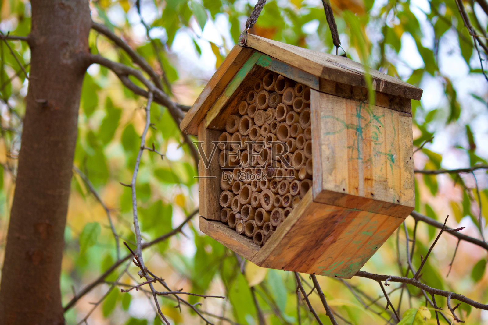 带筑巢管的木制虫屋照片摄影图片