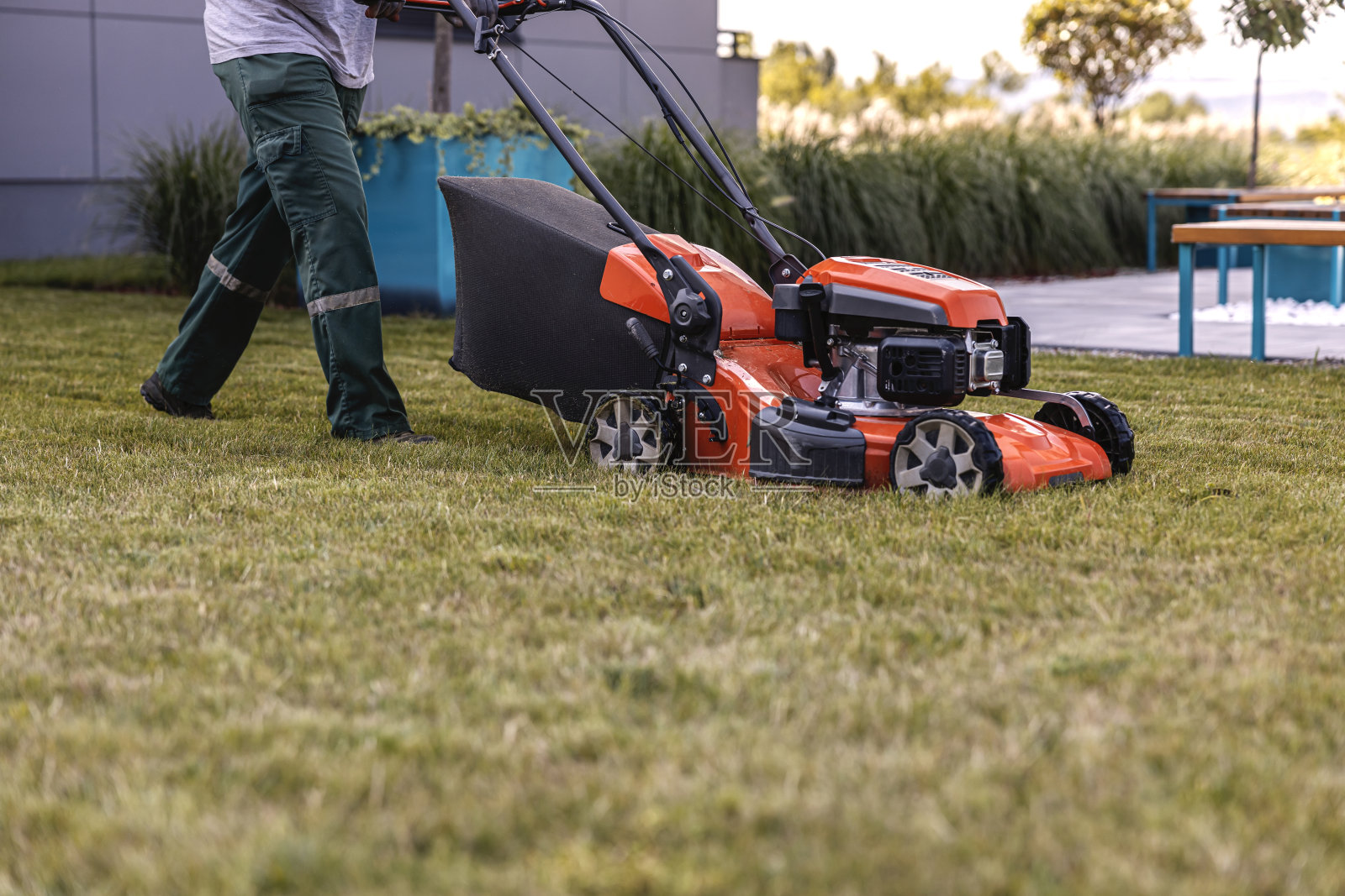 一名男子在公园用割草机割草的图片。照片摄影图片