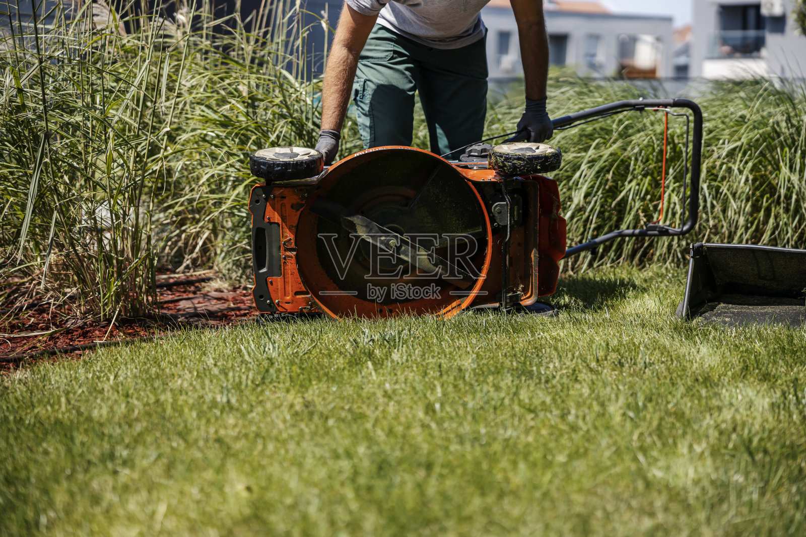 一名男子站在公园里维护割草机的裁剪照片。照片摄影图片