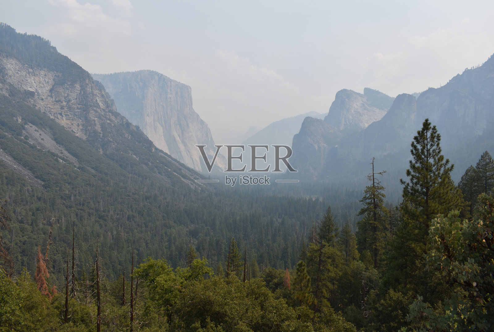 约塞米蒂国家公园，以加州山脉为背景，观赏自然景观，美国国家公园野生动物照片摄影图片