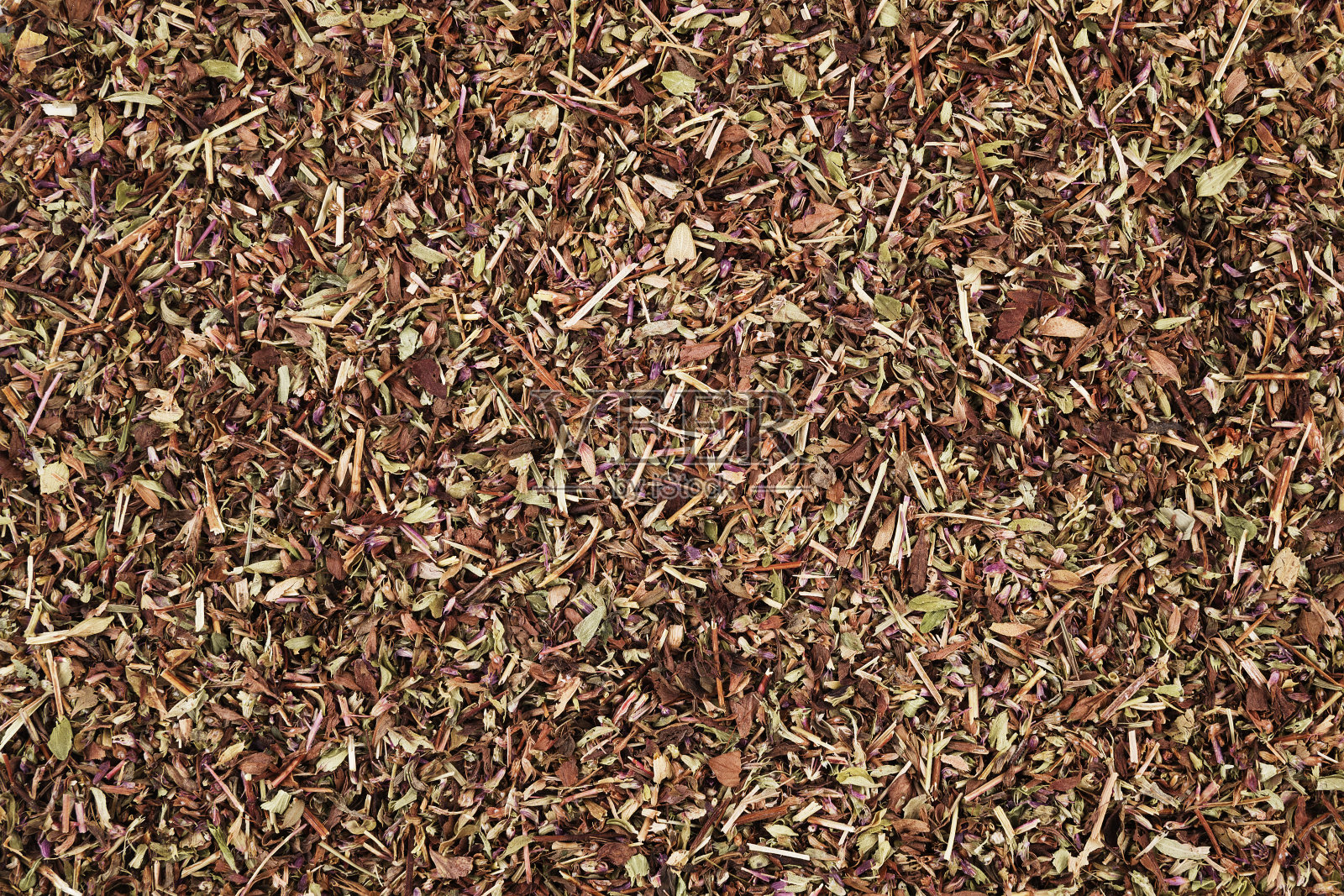 在孤立的白色背景上干燥的百里香药草照片摄影图片