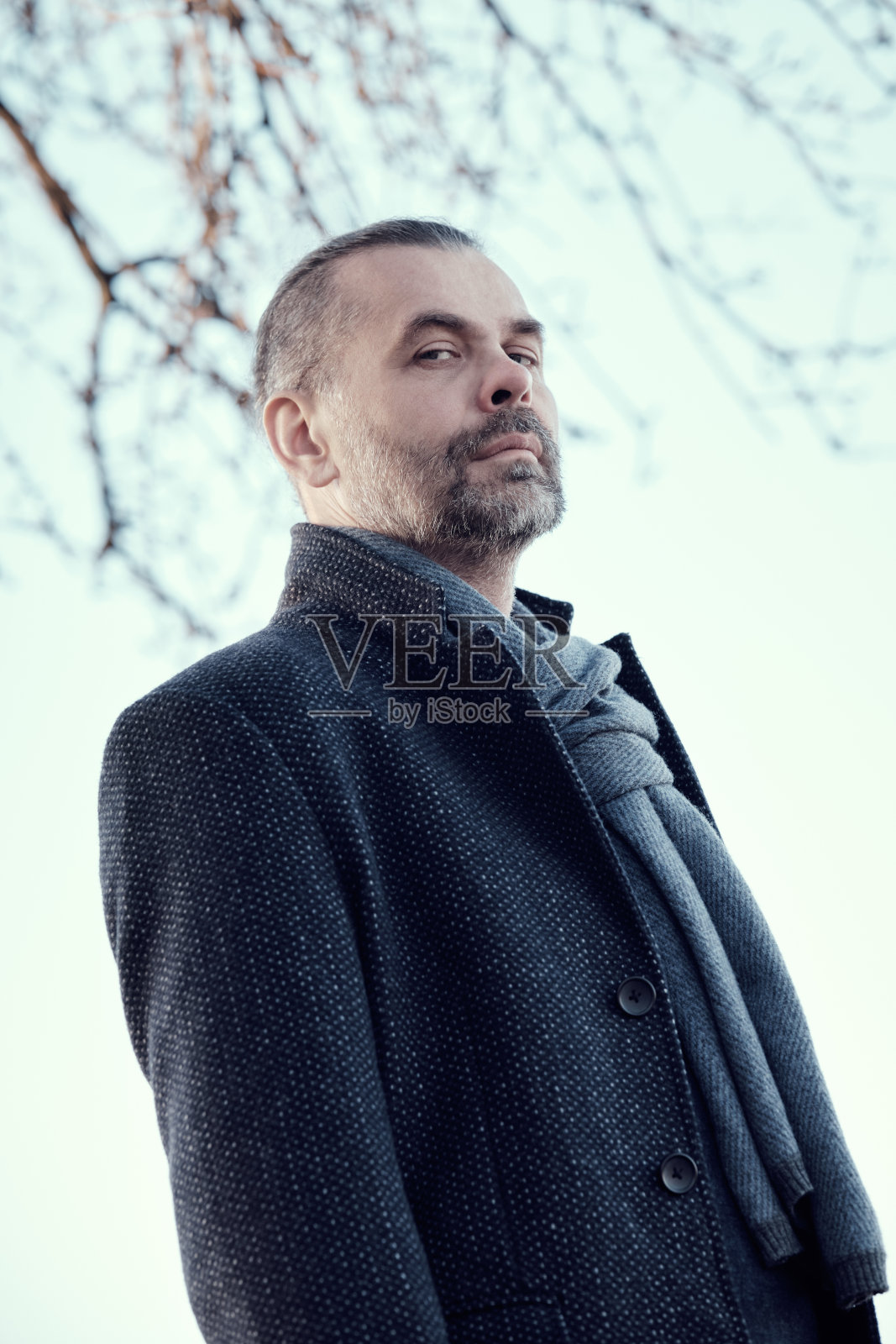 一个自信的留着胡子的中年男子，穿着蓝色外套，戴着羊毛围巾，在天空的衬托下俯视着镜头。照片摄影图片