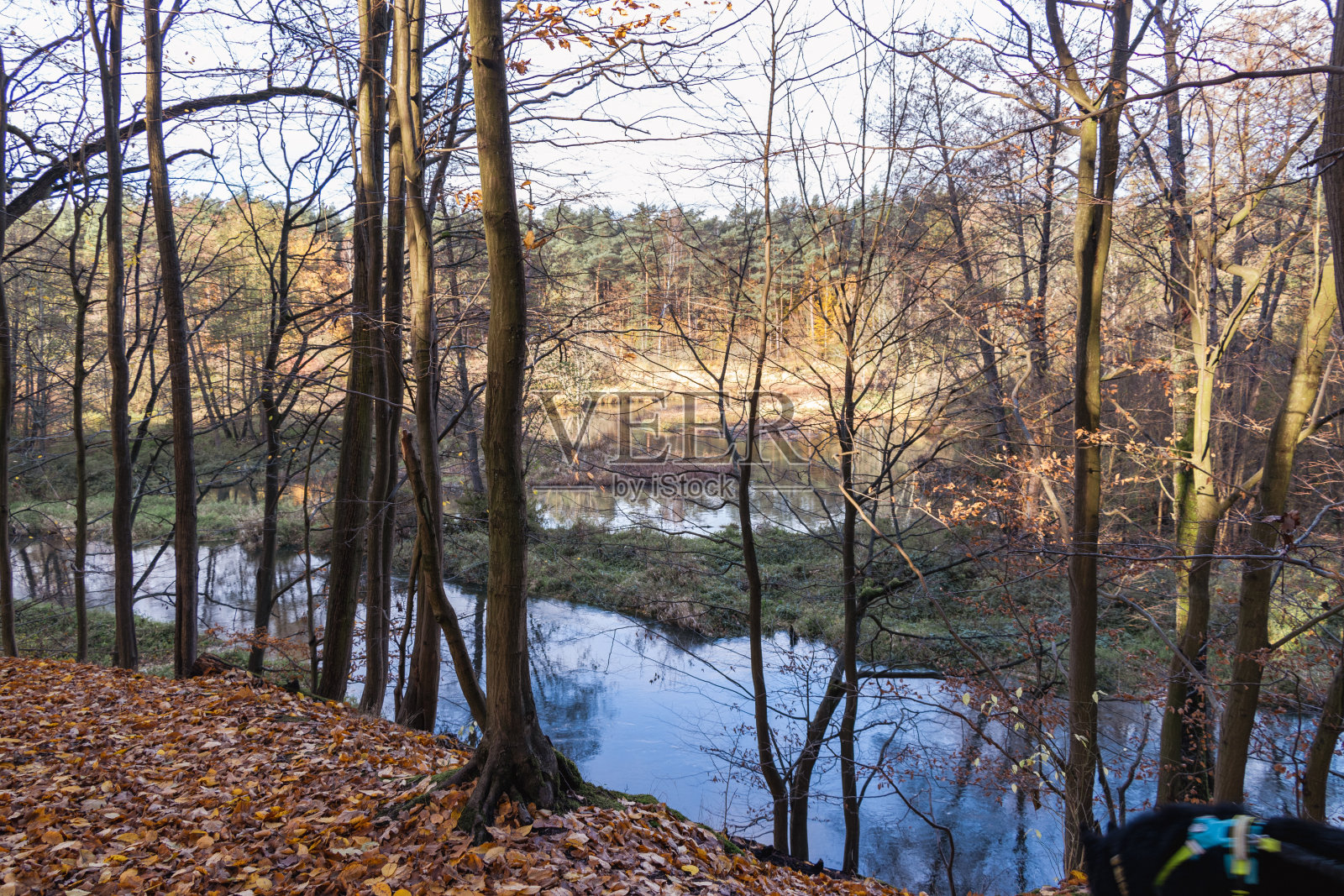 罗卡河，博利莫夫斯基公园照片摄影图片