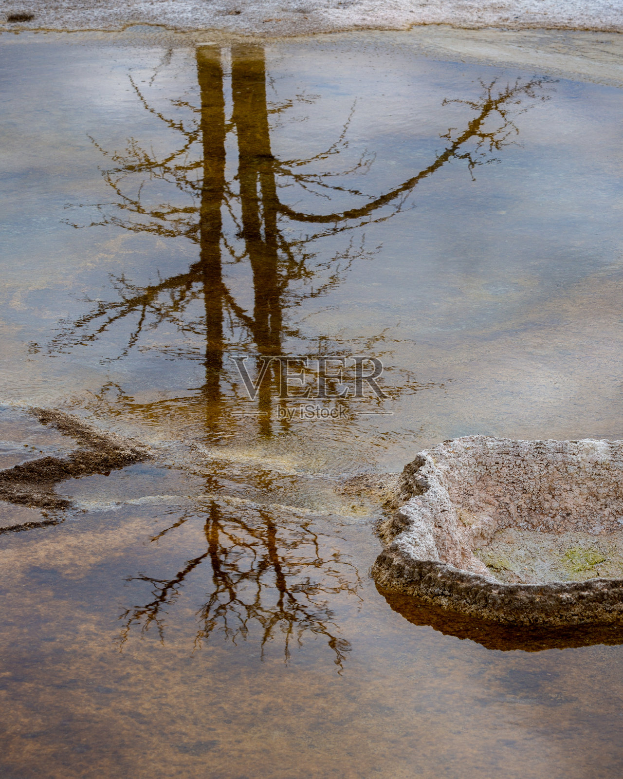 美国怀俄明州黄石国家公园景观。照片摄影图片