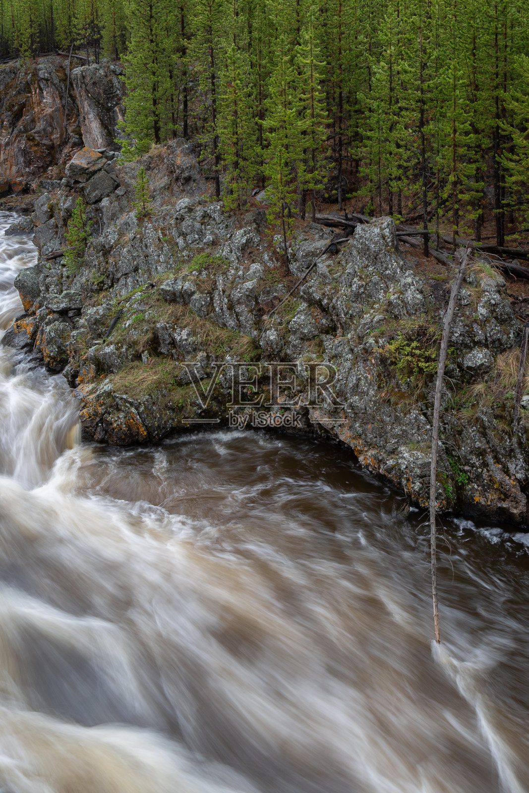 美国怀俄明州黄石国家公园景观。照片摄影图片