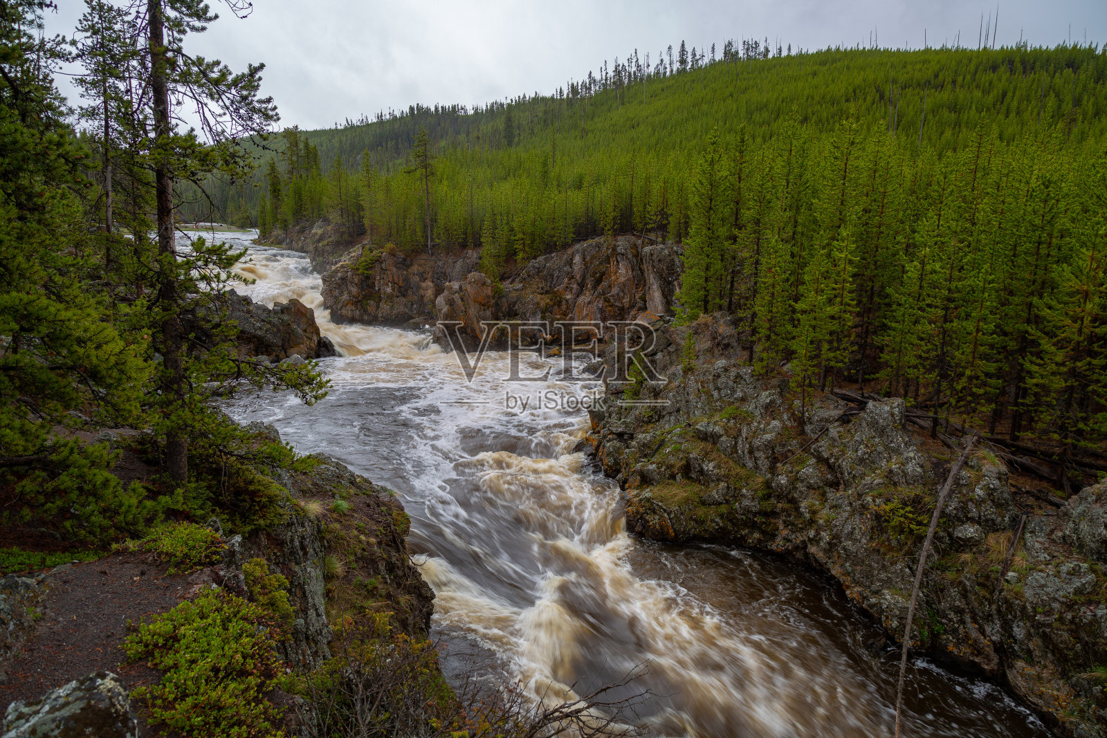 美国怀俄明州黄石国家公园景观。照片摄影图片