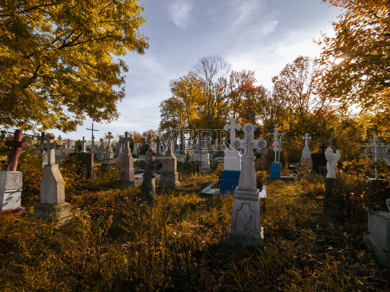 童话般的金色墓地。树林间的坟墓和十字架。照片摄影图片