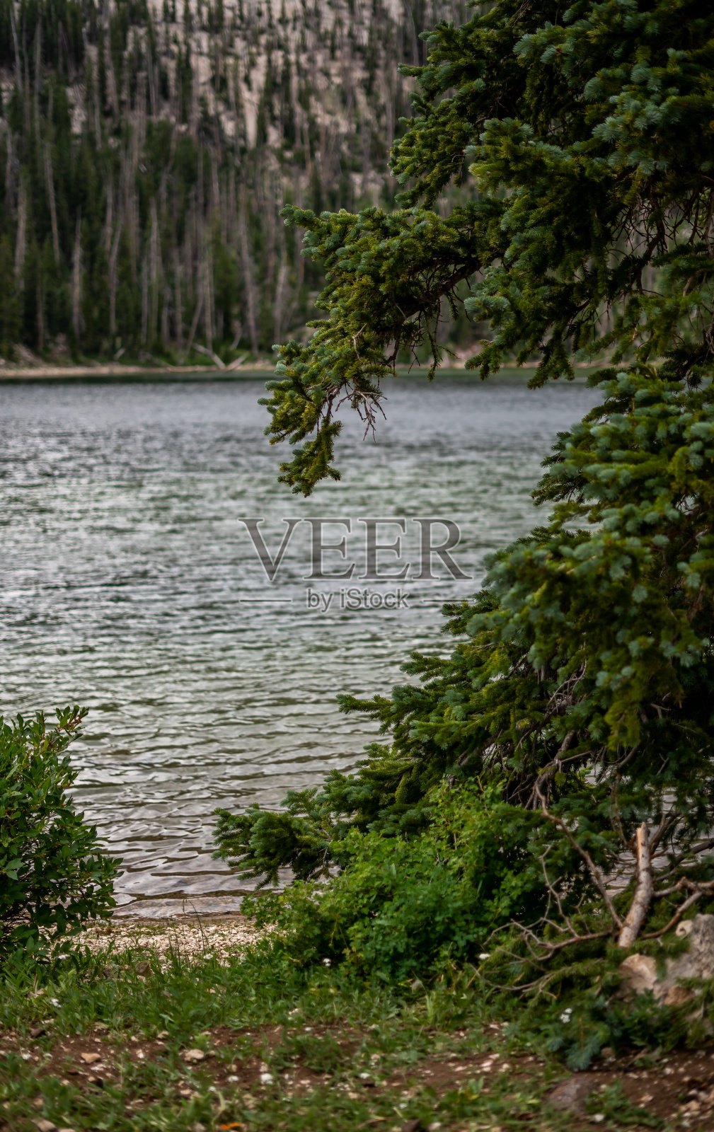 环绕犹他镜湖照片摄影图片