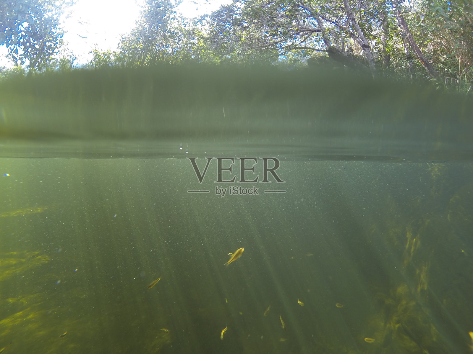 水照片摄影图片