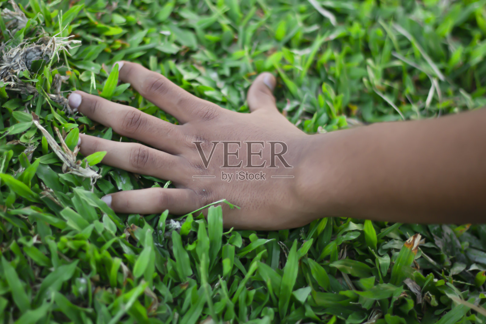 一个男人把手放在绿草地上照片摄影图片