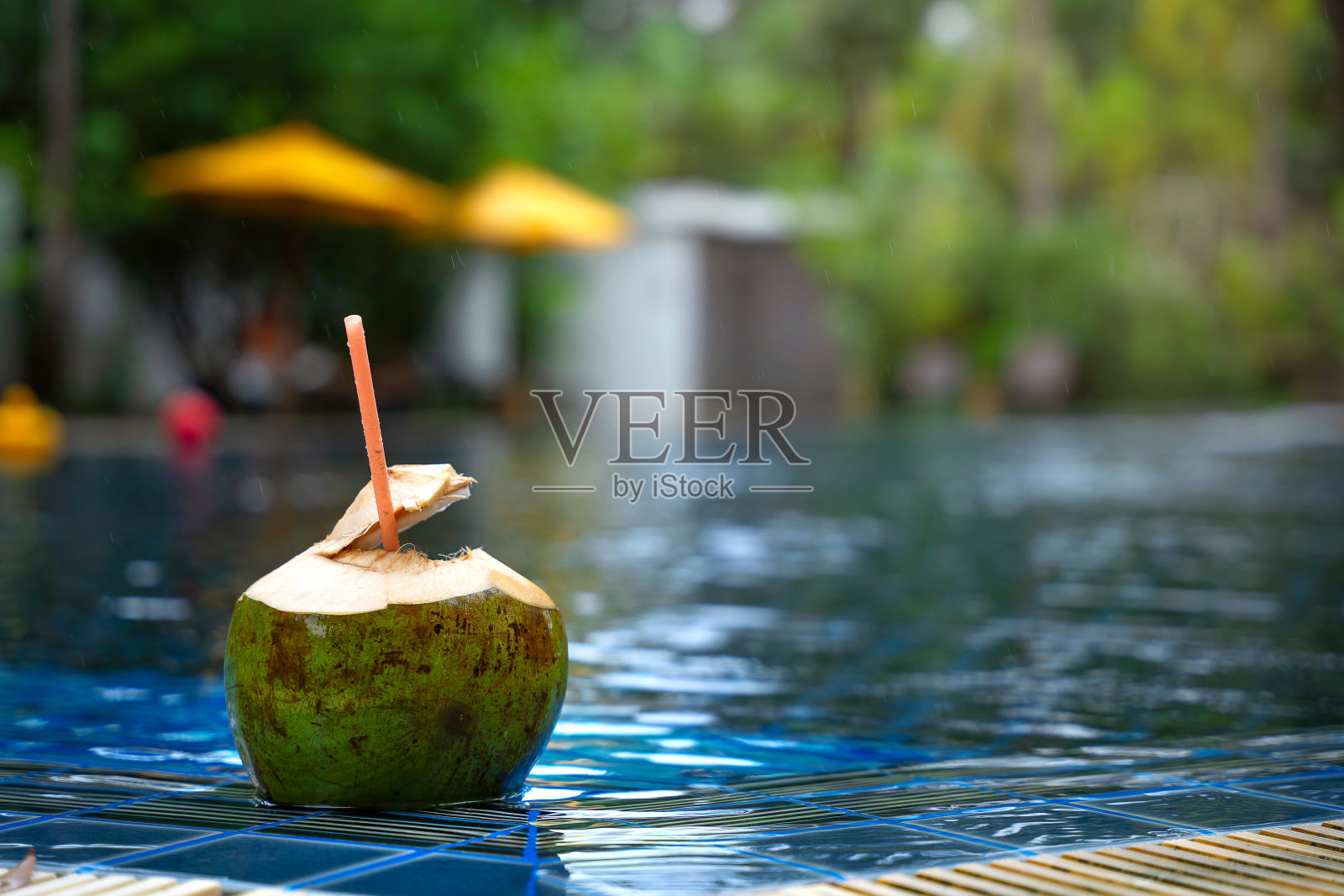 多汁的椰子站在温暖的海浪中，欢快的椰子在度假。照片摄影图片