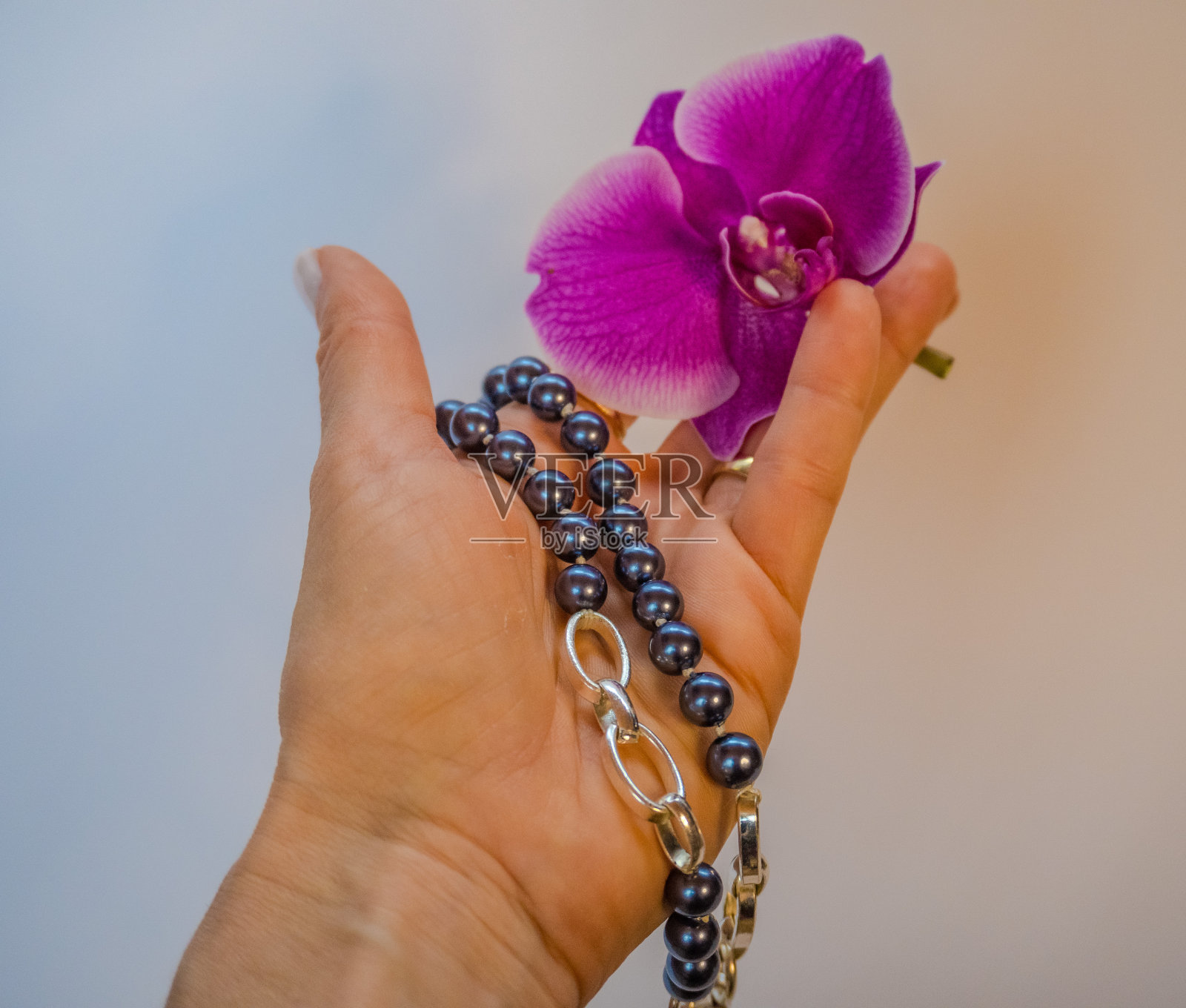 一个女人手里拿着黑珍珠珠子，白色背景上是紫色兰花照片摄影图片