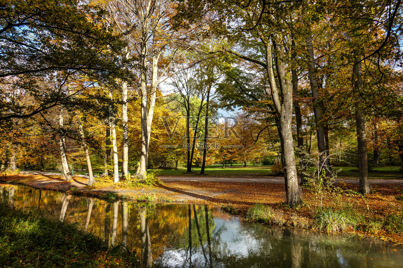 慕尼黑著名休闲胜地——英国花园的金秋景色。慕尼黑，巴伐利亚，德国照片摄影图片