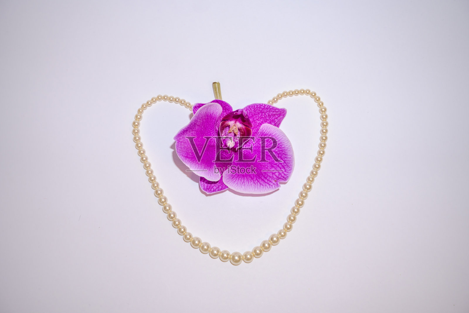 一条白色珍珠项链呈心形，上面有一朵紫色的兰花照片摄影图片