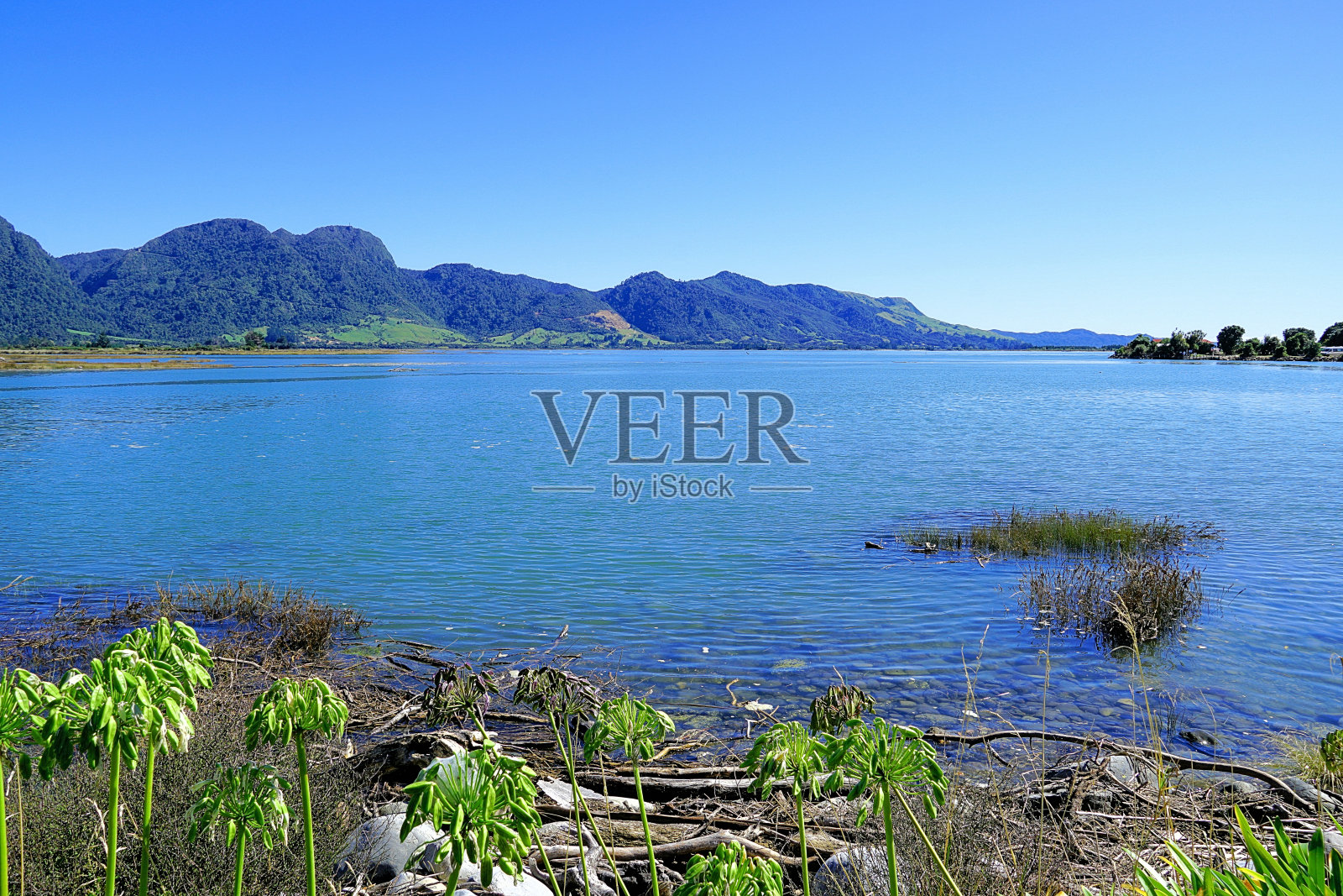 新西兰南岛照片摄影图片