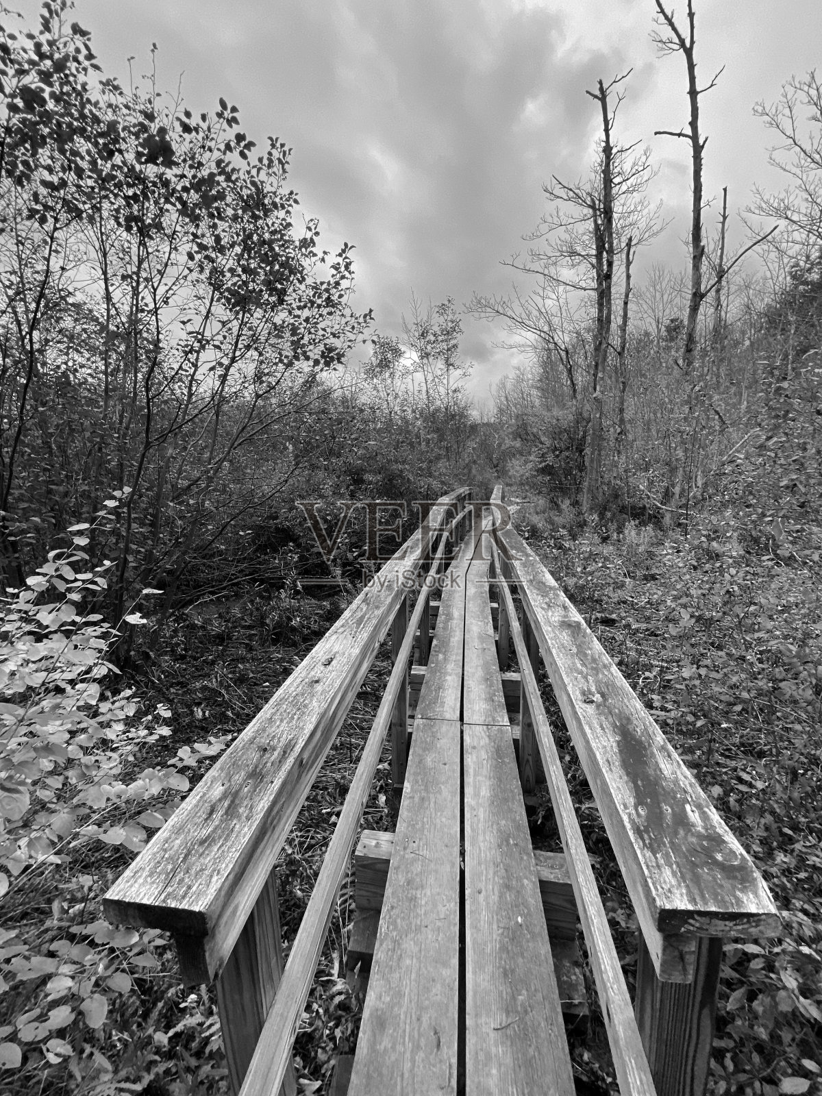 木制人行桥照片摄影图片