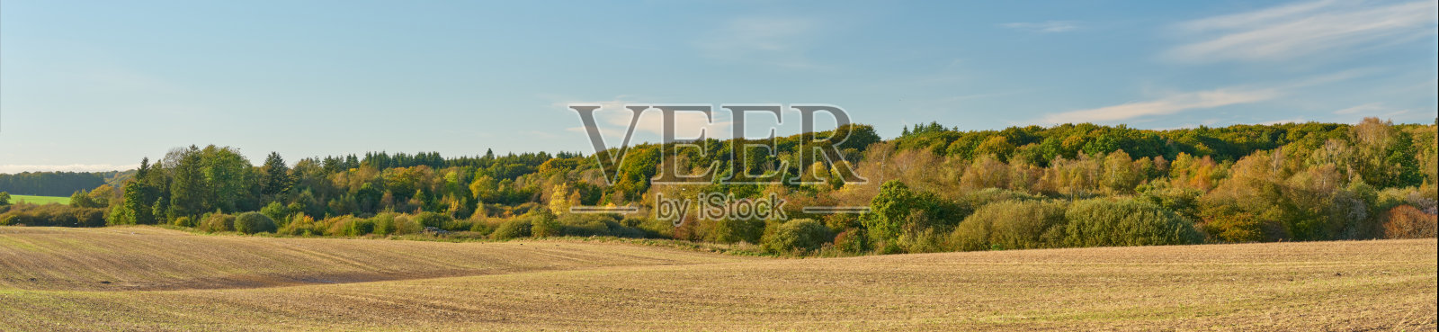 夏末/初秋的乡村森林照片摄影图片