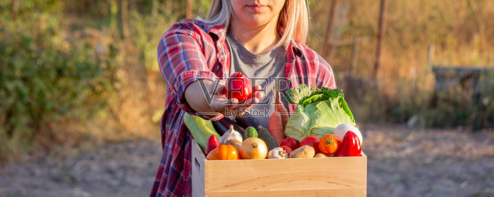 女农民拿着一个装满新鲜蔬菜的木箱。手里拿着蔬菜的篮子。照片摄影图片
