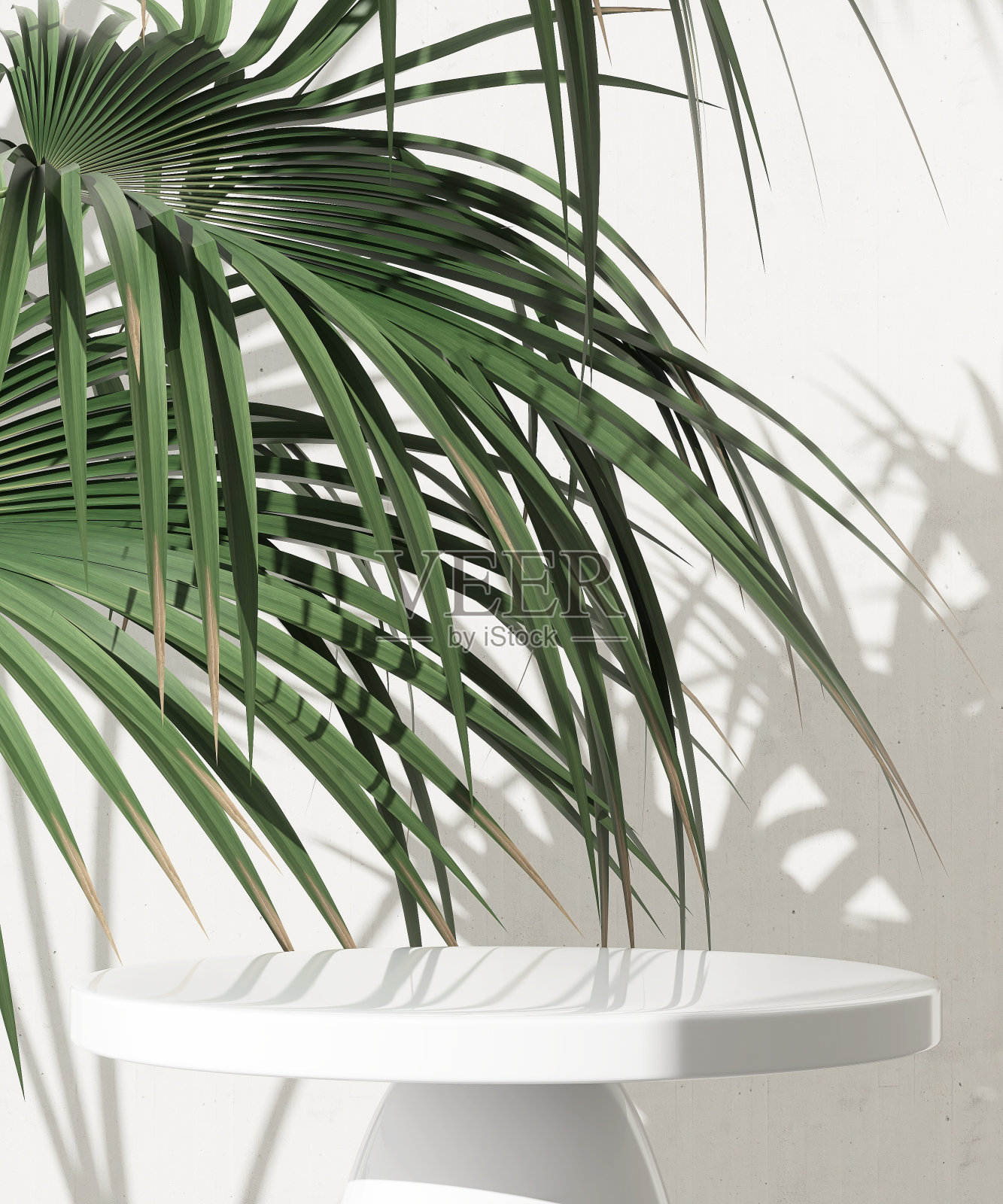 白色圆润的台座边桌裙台，阳光下的绿色棕榈叶，水泥墙上的影子照片摄影图片